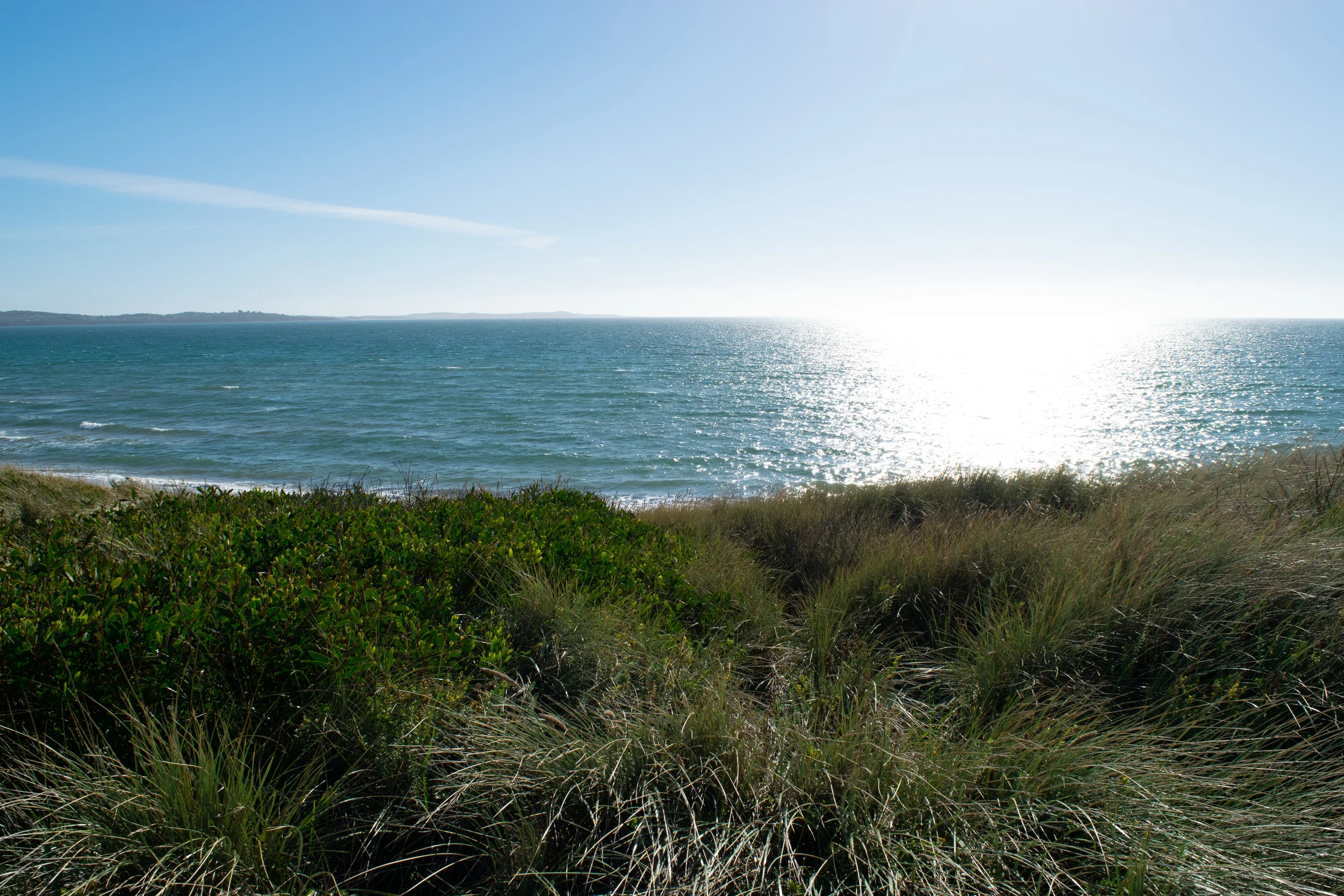 DSC_0065.jpg