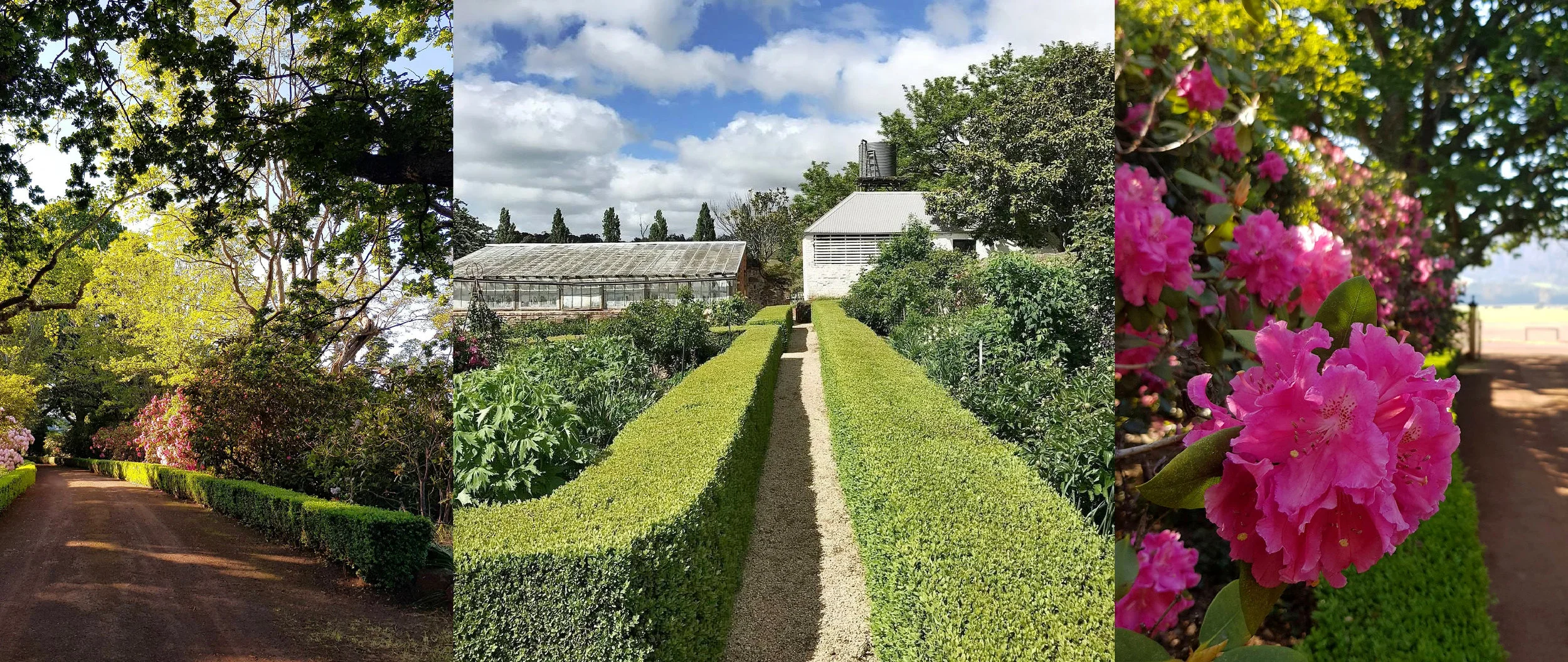 Gardenfest Grows With Successful 11th Year