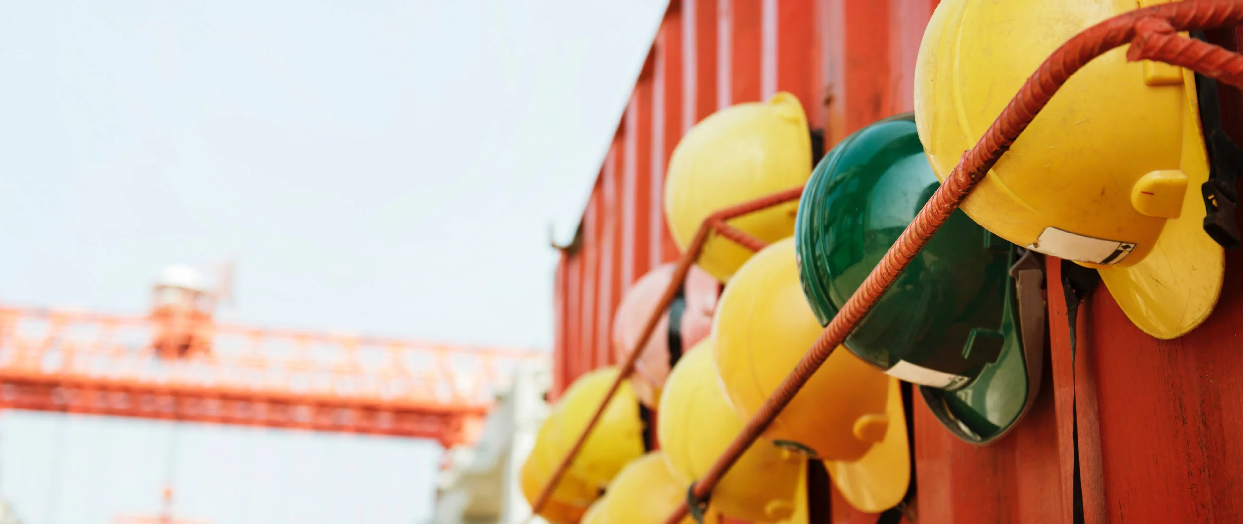 Gorgeous Plans For The North