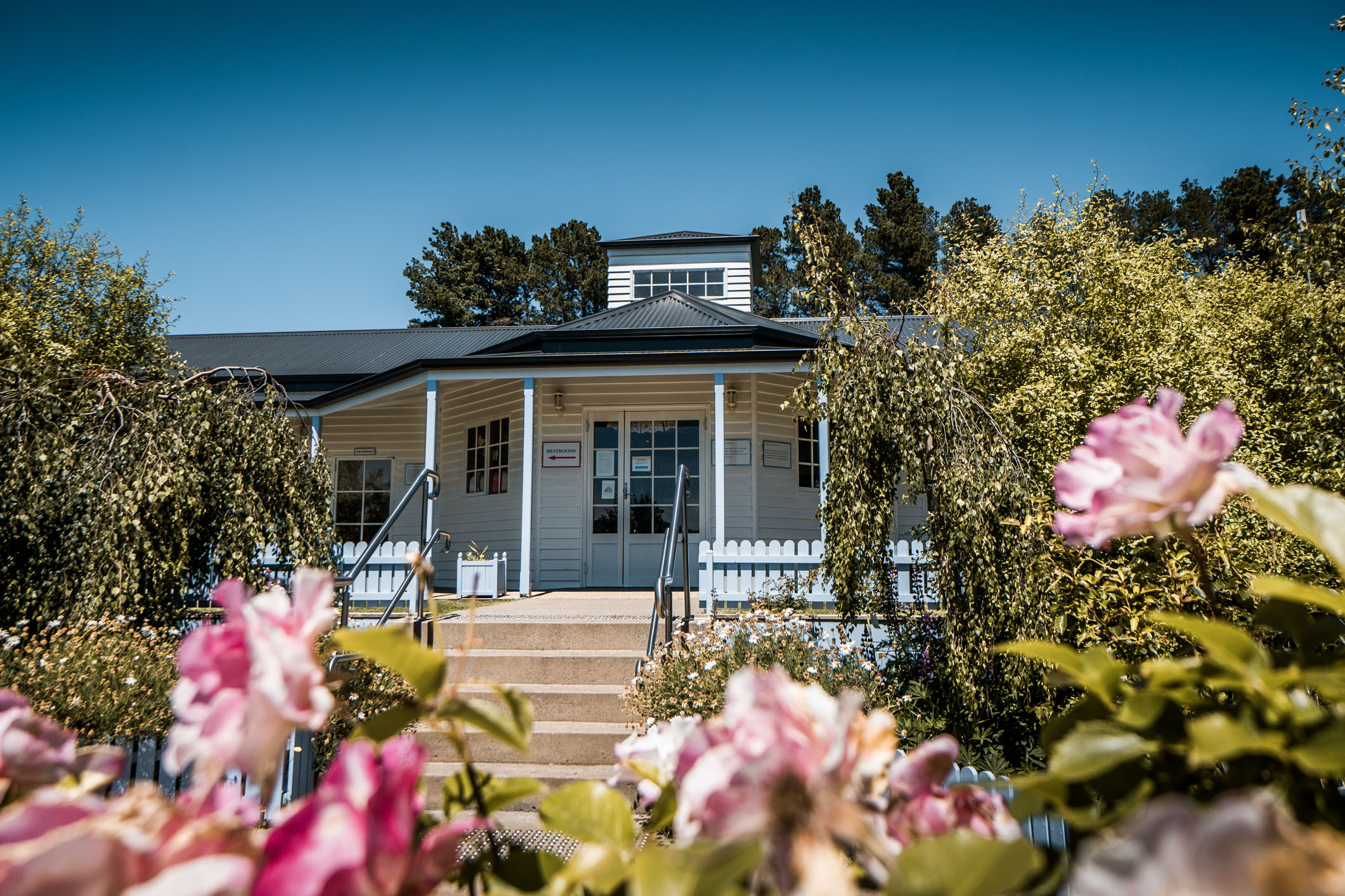 Friday Photoset | Riversdale Estate