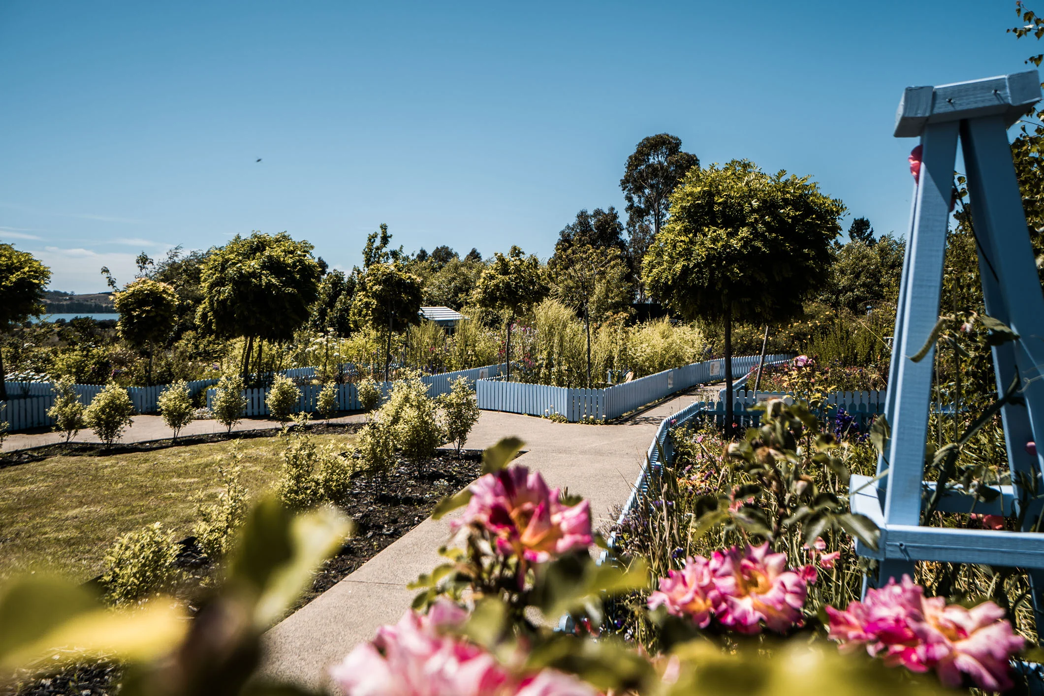 Drysdale (Web) (24 of 30).jpg