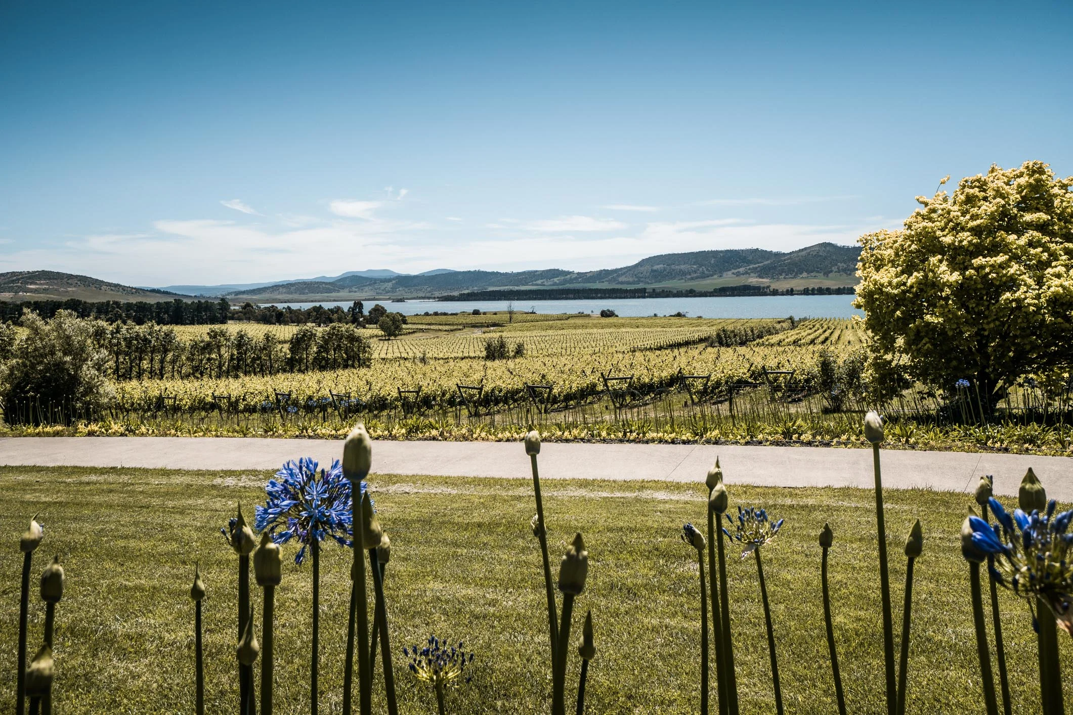 Drysdale (Web) (29 of 30).jpg