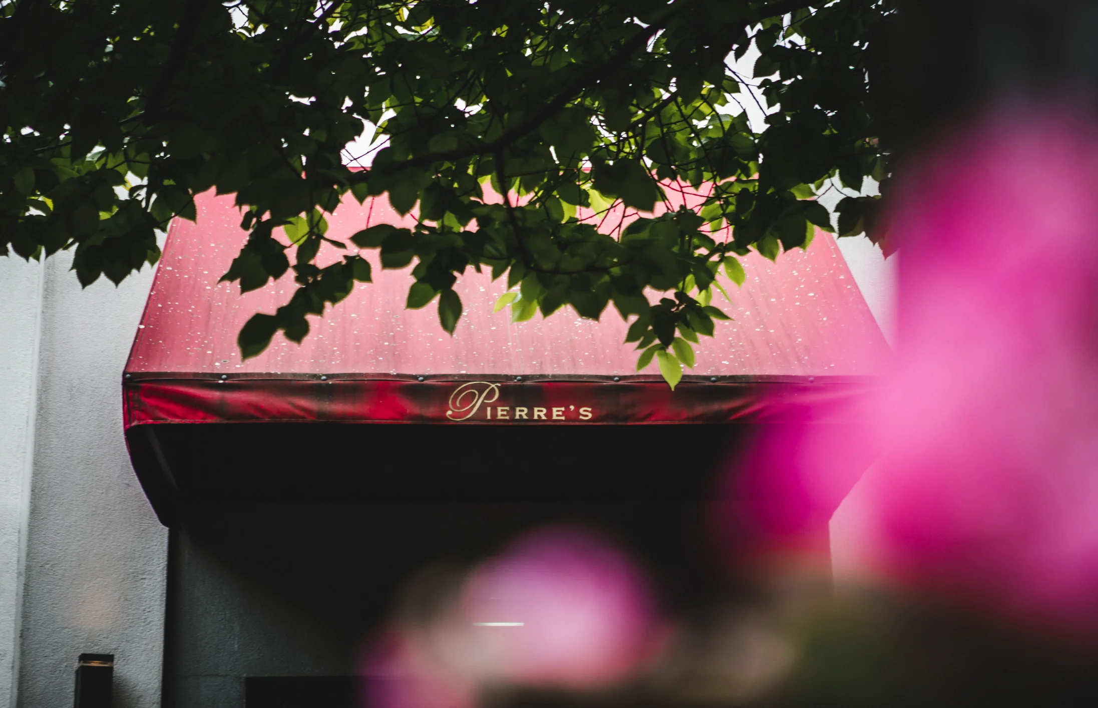 Pierre's (Web) (16 of 27).jpg