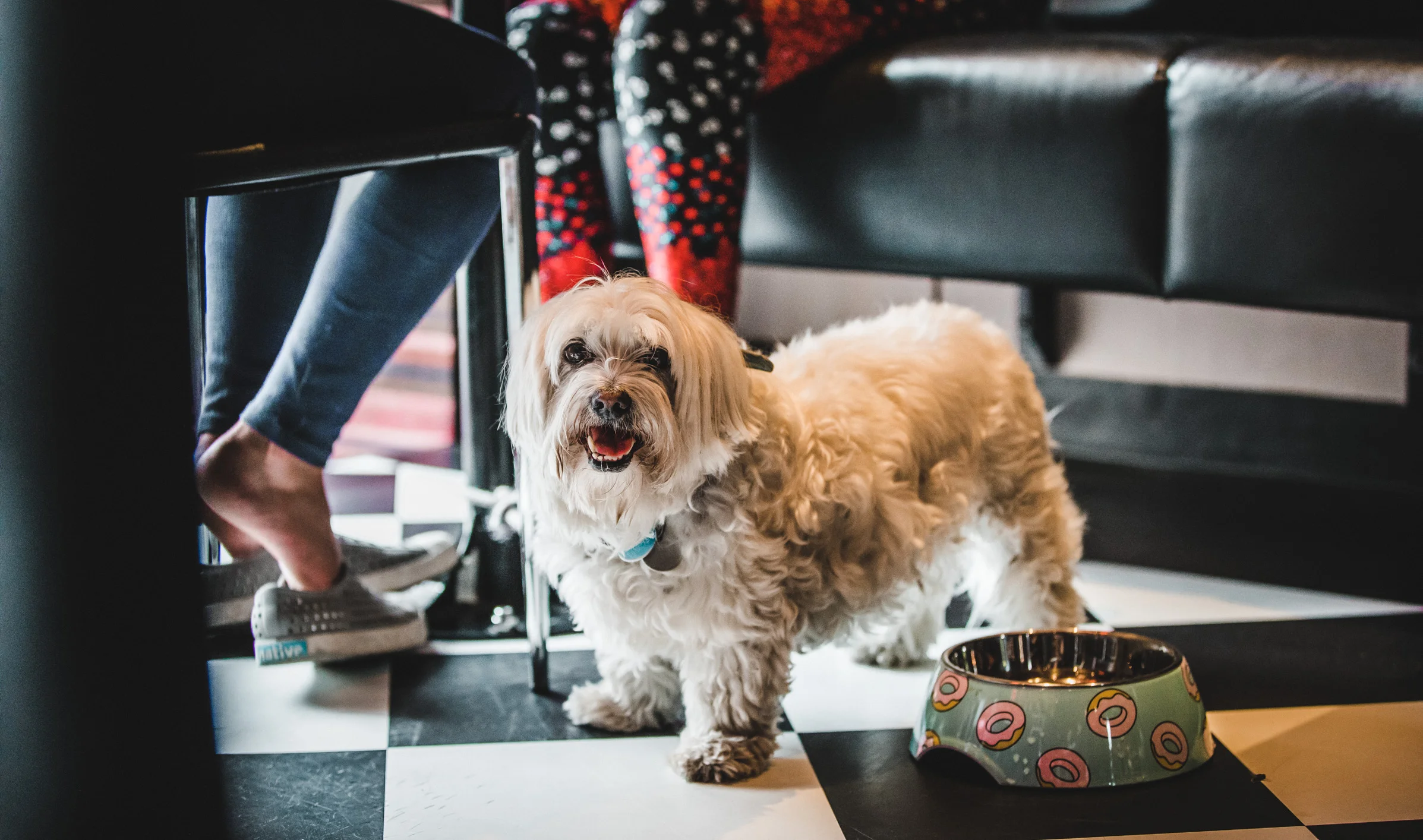 Pierre's (Web) (22 of 27).jpg