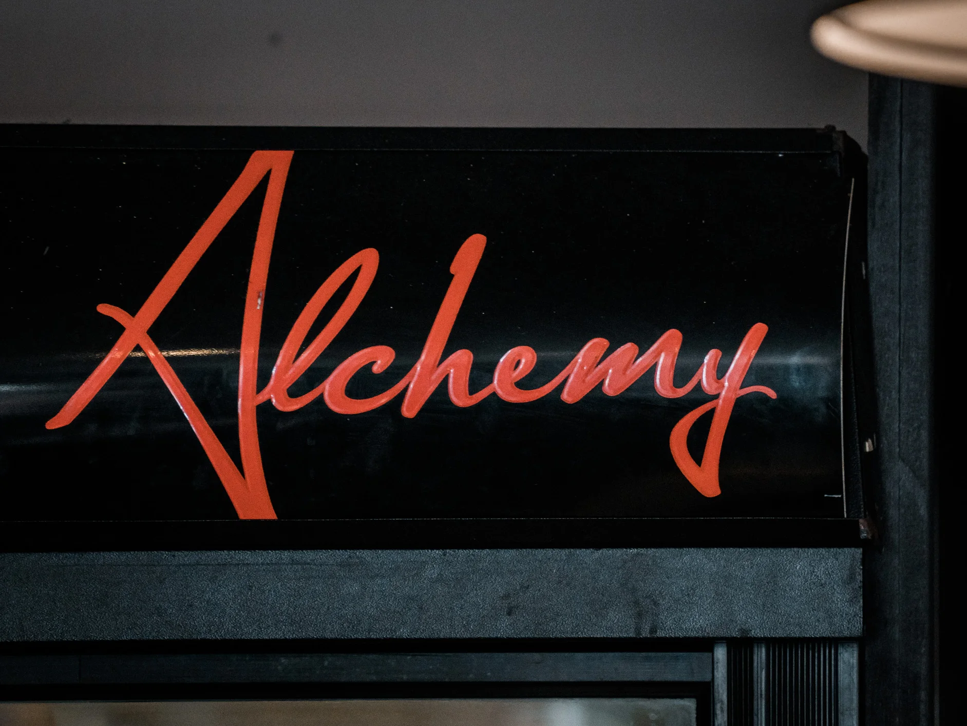 Tha Headshots (Web) (1 of 22).jpg