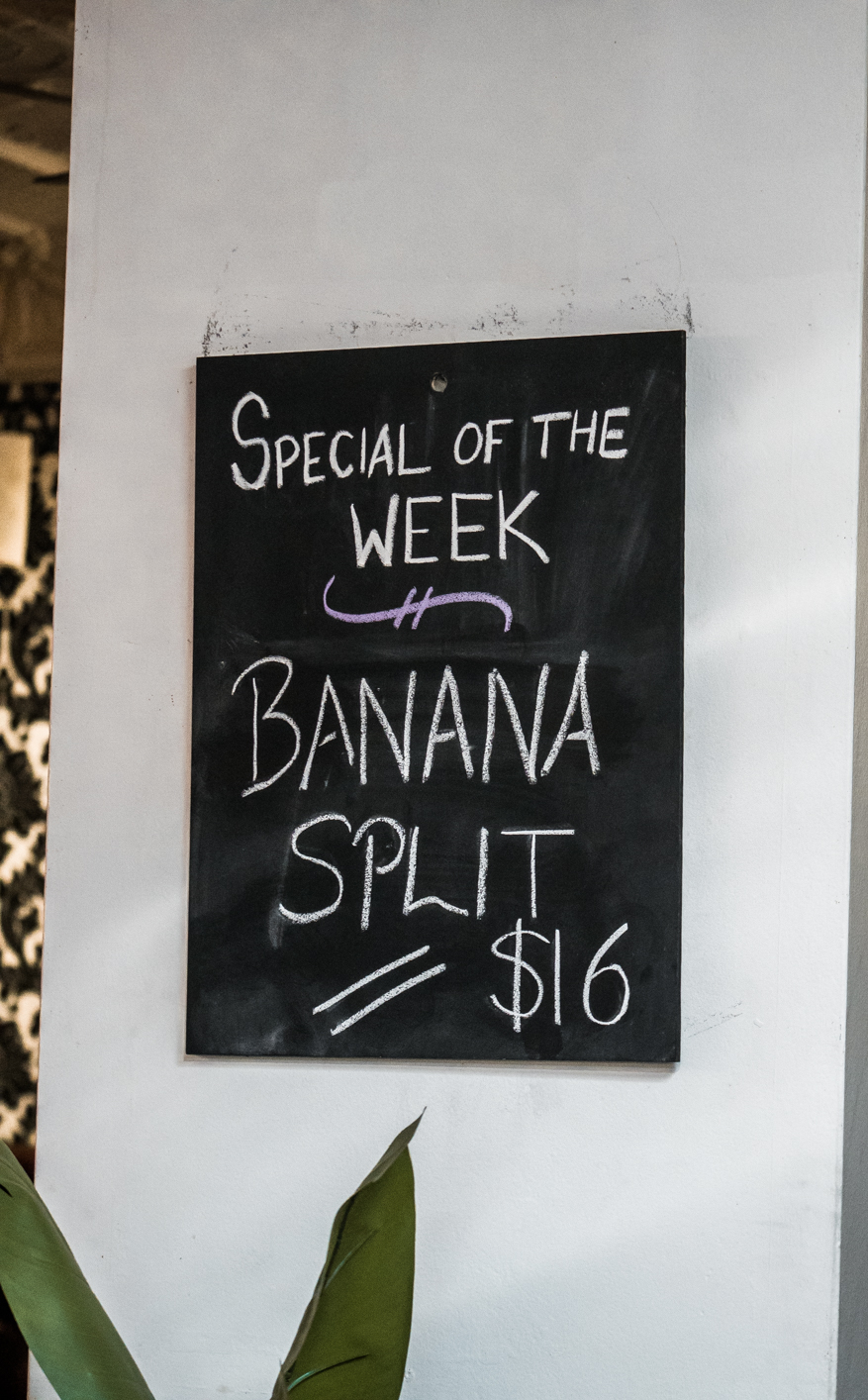 Tha Headshots (Web) (3 of 22).jpg