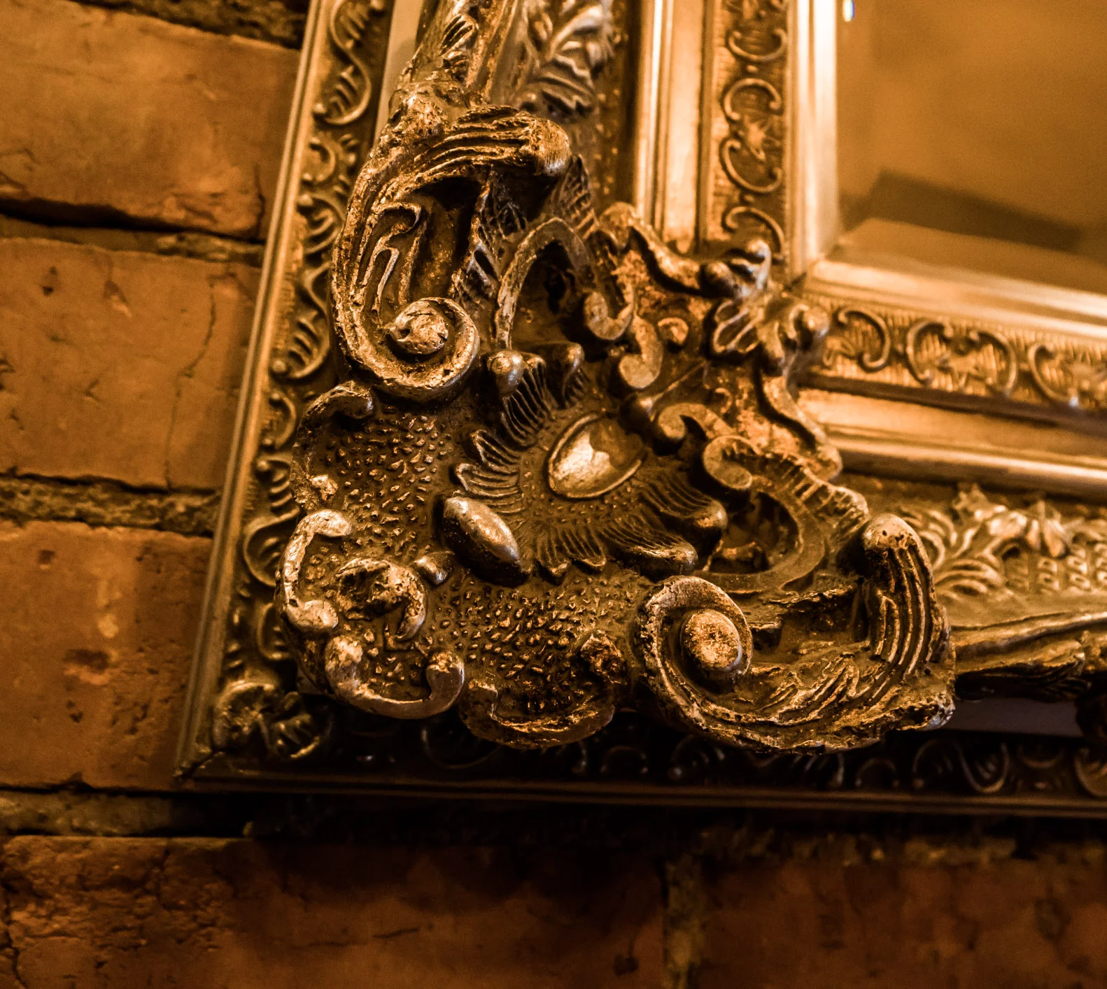 Tha Headshots (Web) (7 of 22).jpg