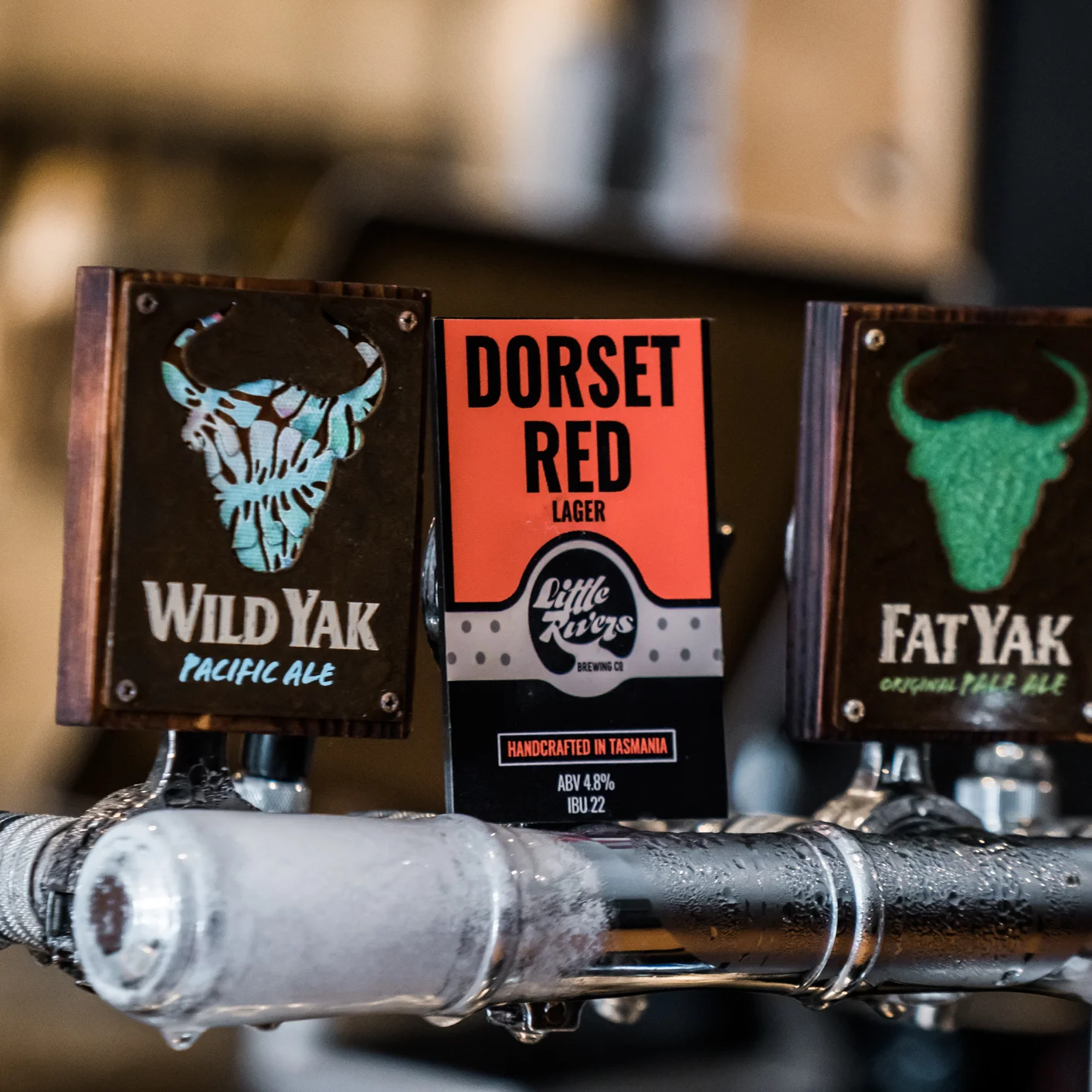 Tha Headshots (Web) (8 of 22).jpg