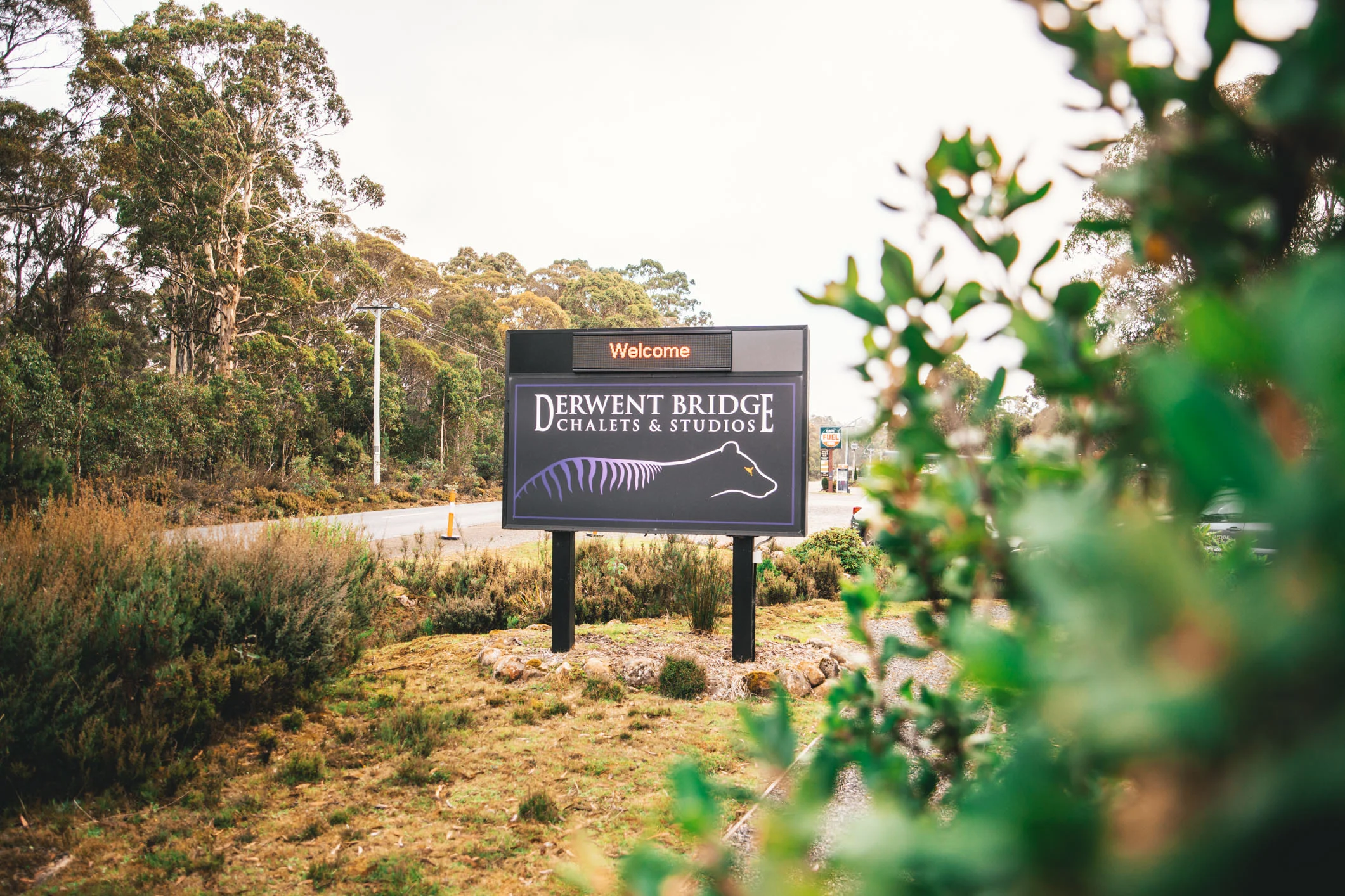 Friday Photoset | Derwent Bridge Chalets &amp; Studios