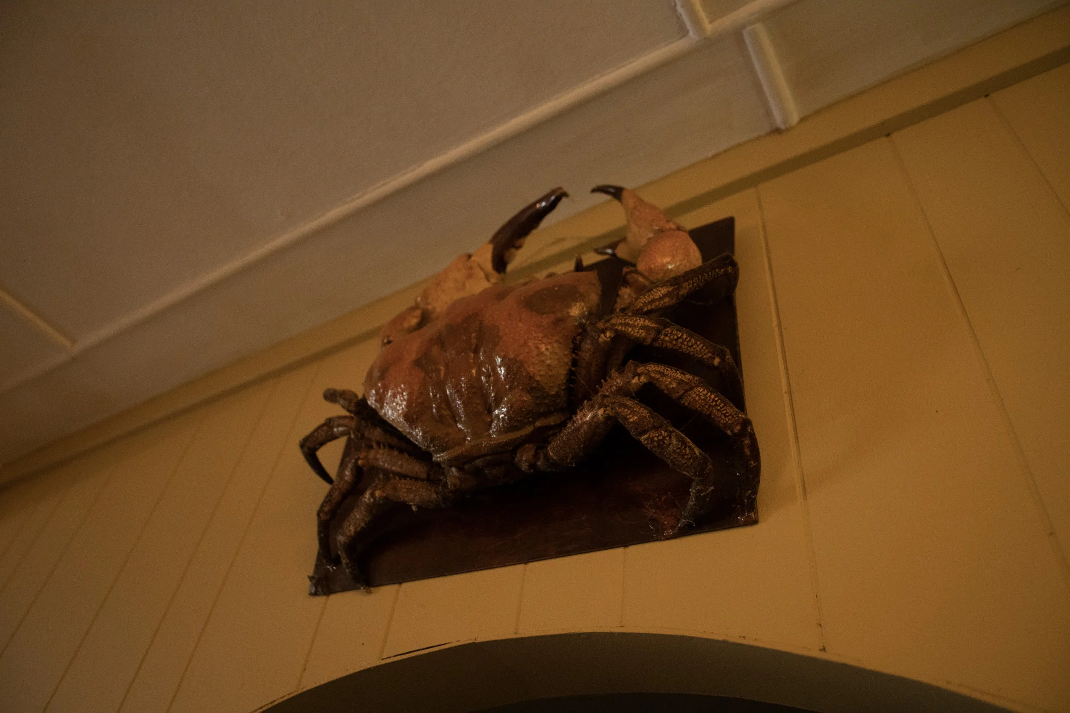 Spring Bay (Web) (16 of 26).jpg