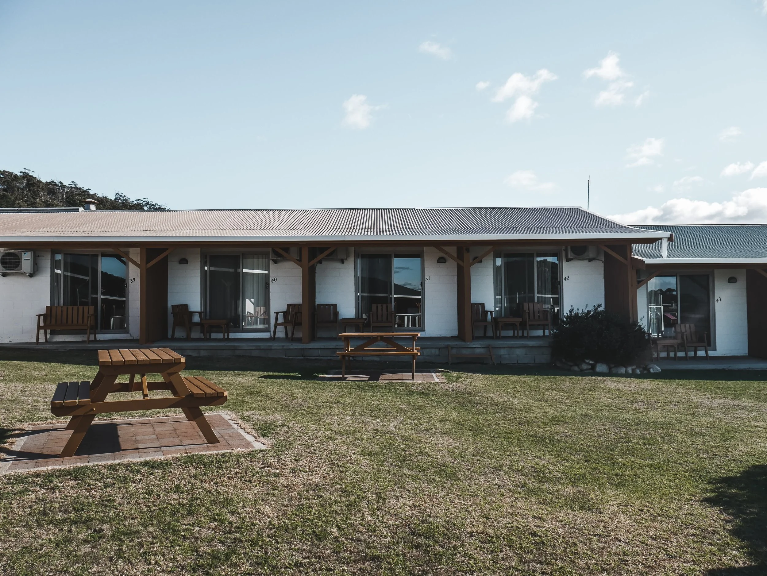 Roney (Full) (99 of 201)(1).jpg