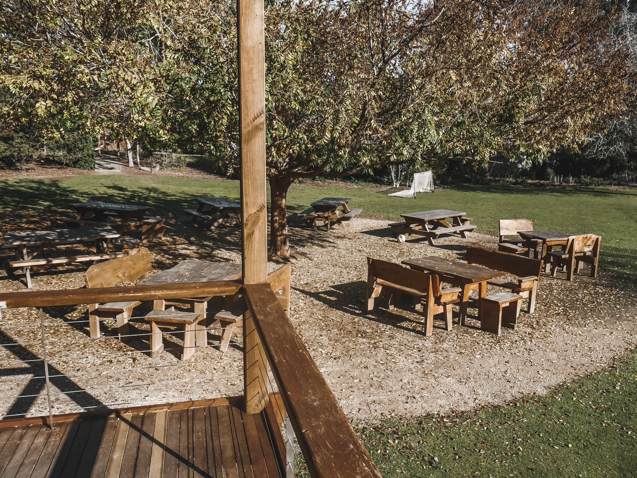 Roney (Full) (172 of 201)(1).jpg