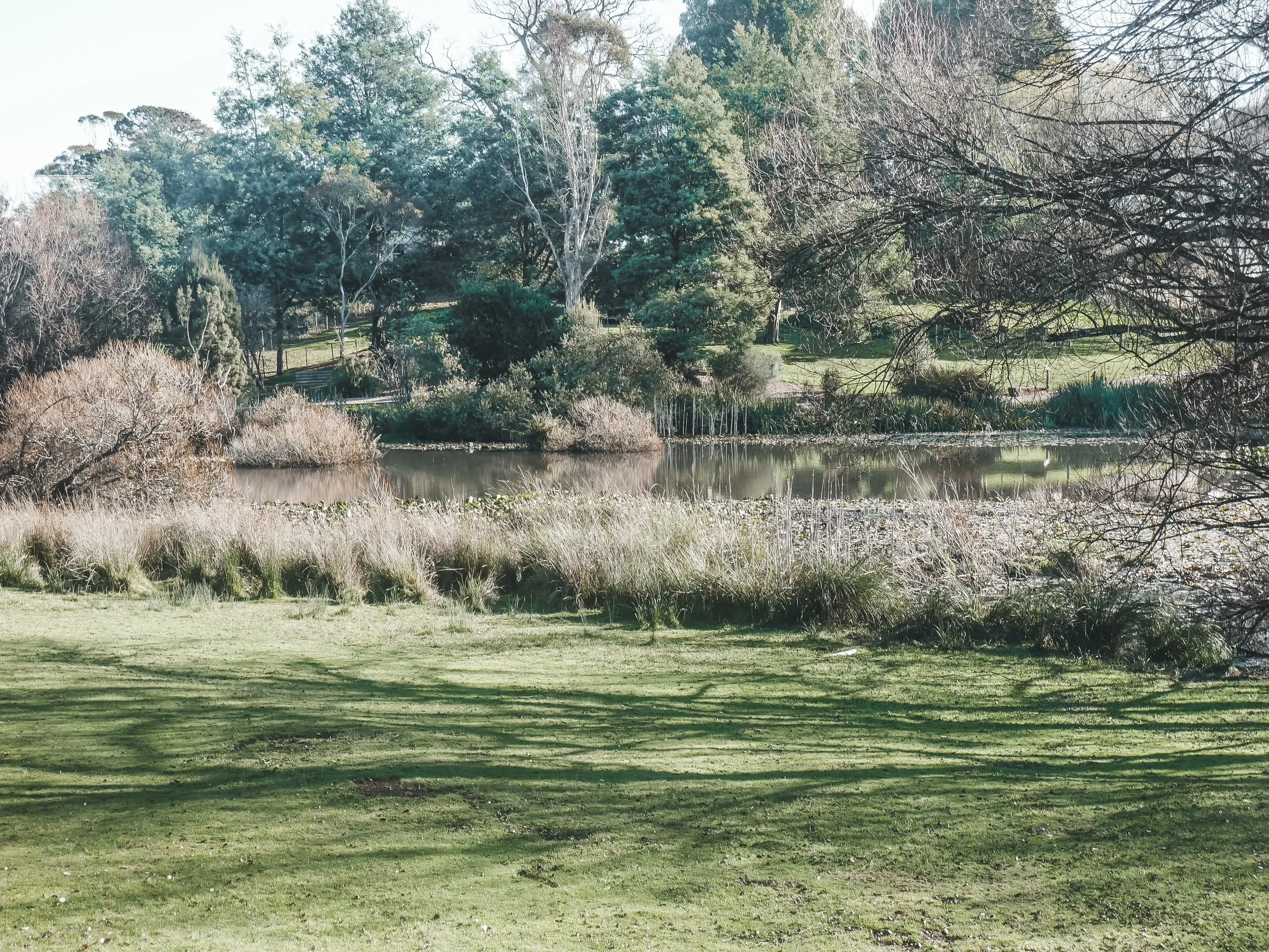 Roney (Full) (171 of 201)(1).jpg