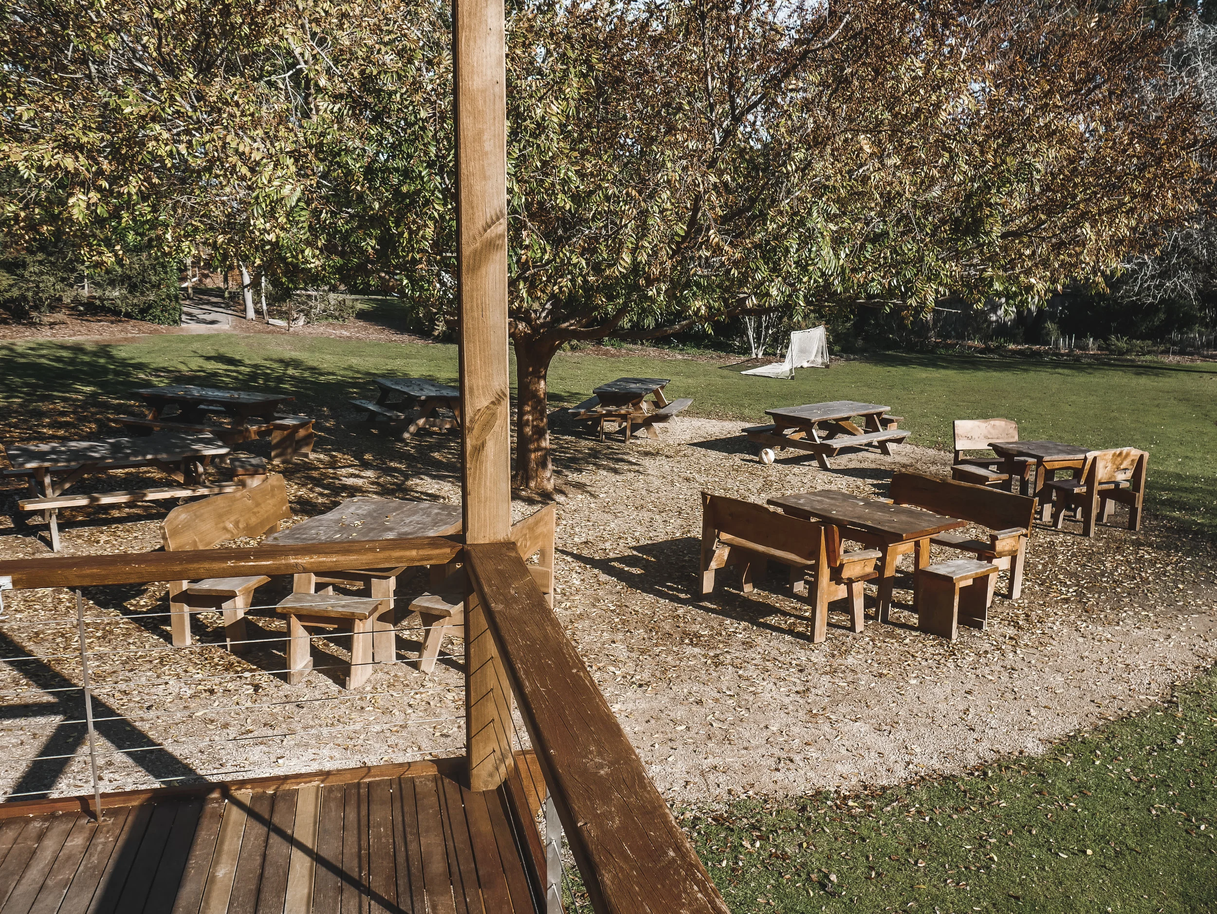 Roney (Full) (172 of 201).jpg