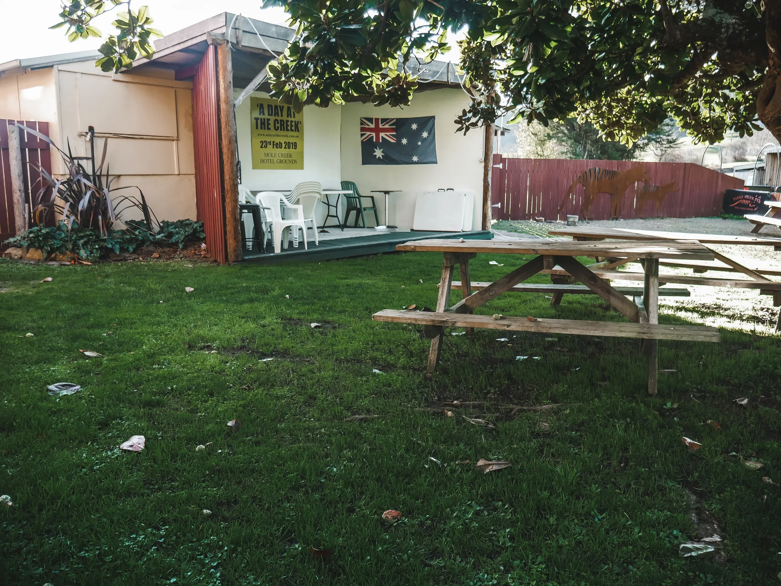 Roney (Full) (190 of 201)(1).jpg