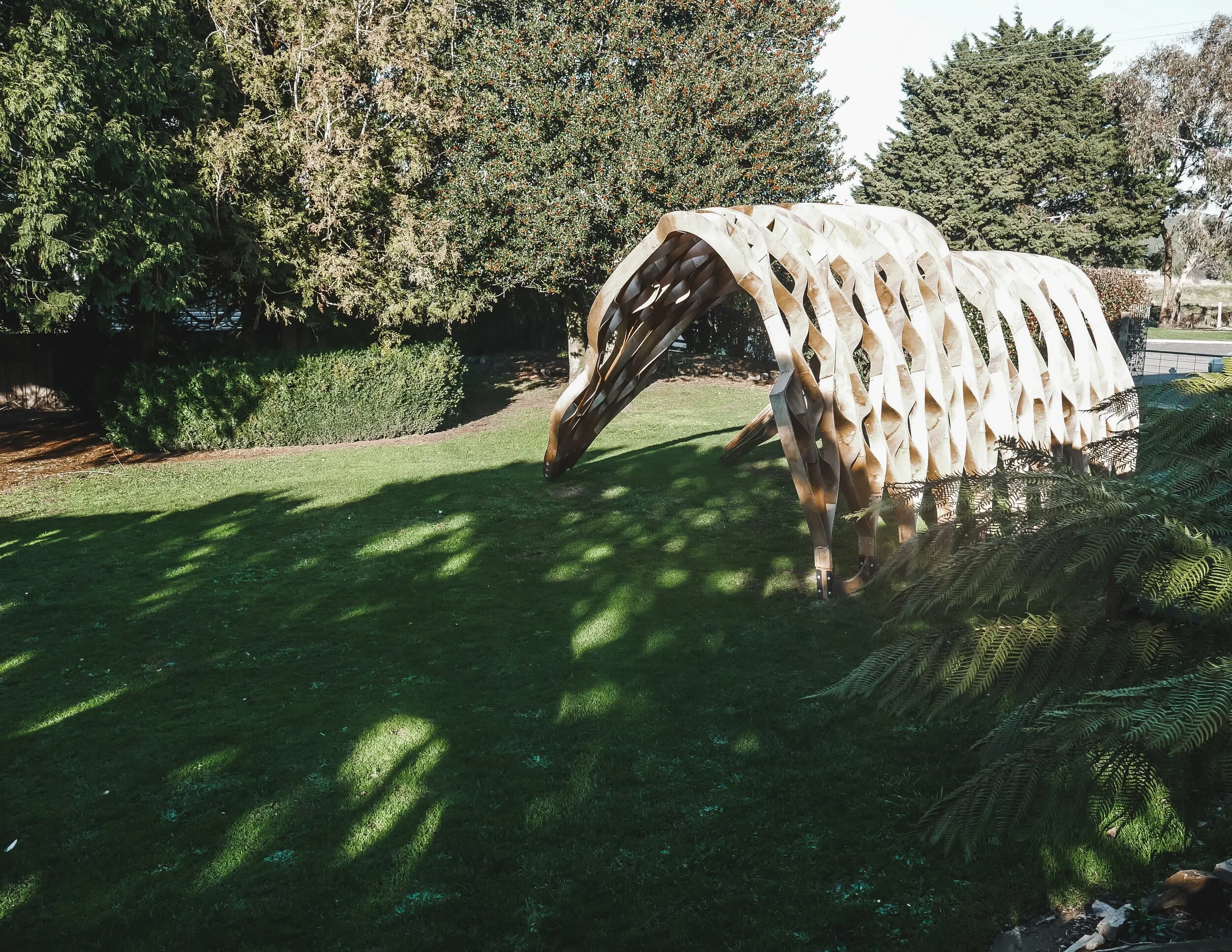 Roney (Full) (188 of 201)(1).jpg