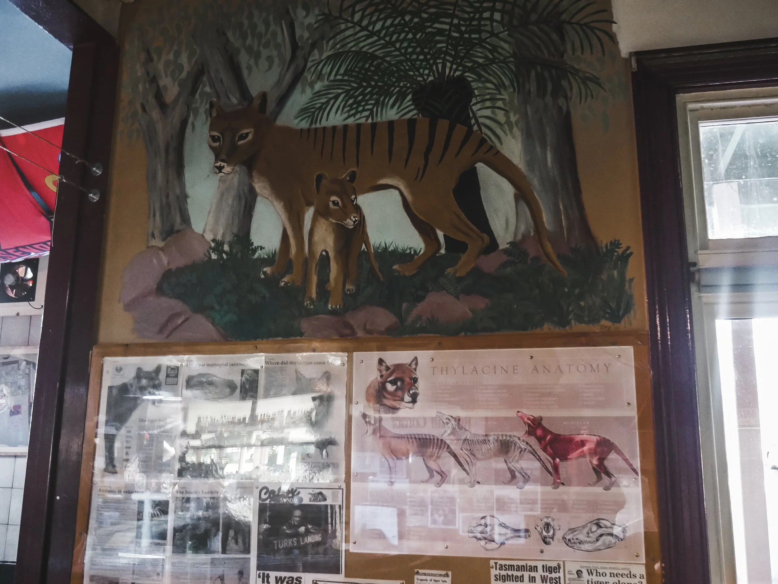 Roney (Full) (182 of 201)(1).jpg