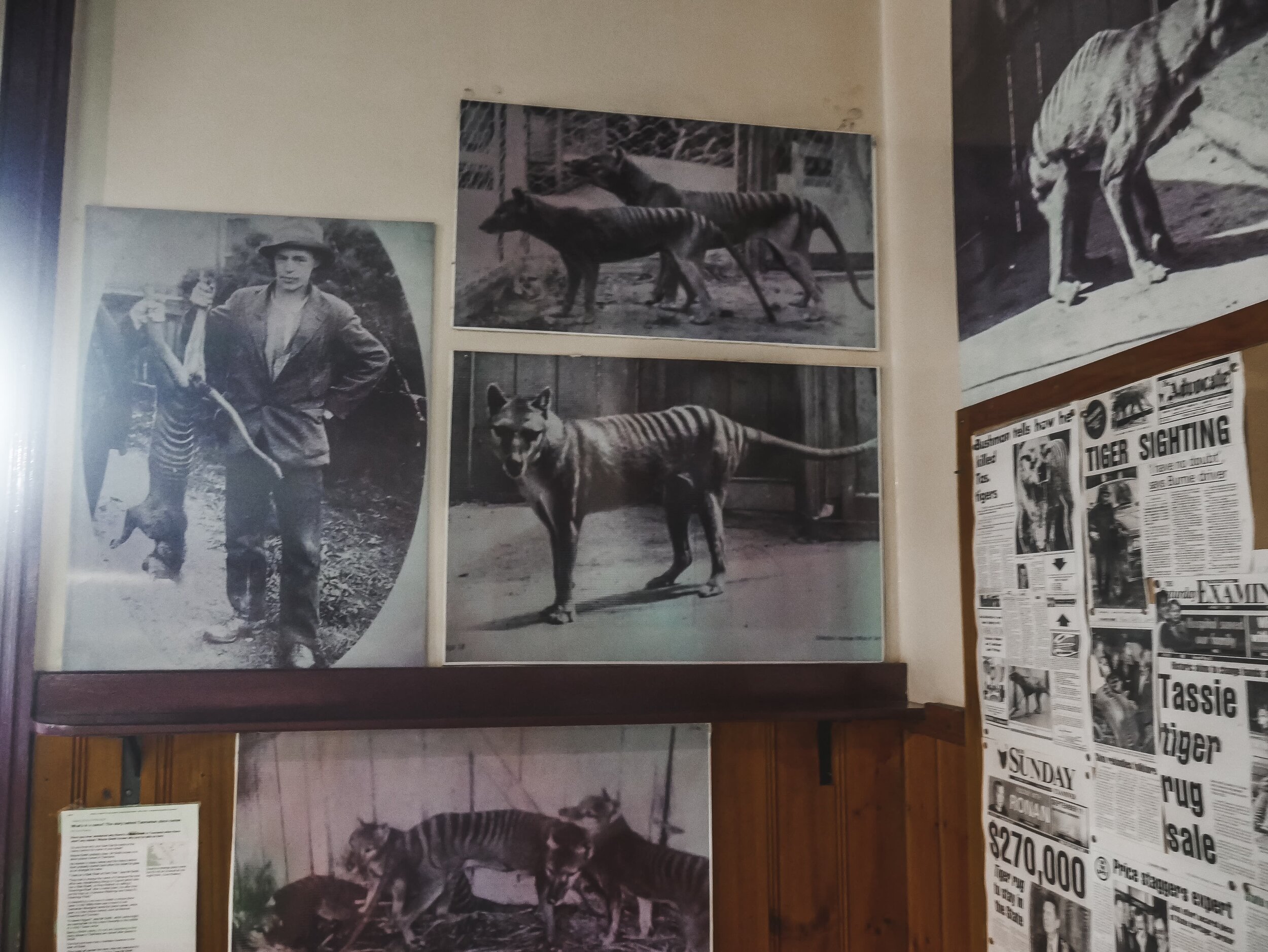 Roney (Full) (181 of 201)(1).jpg