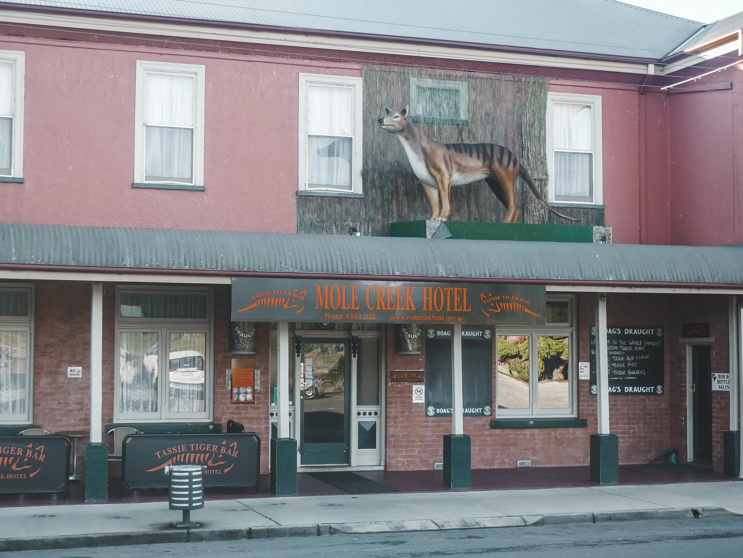 Roney (Full) (176 of 201)(1).jpg