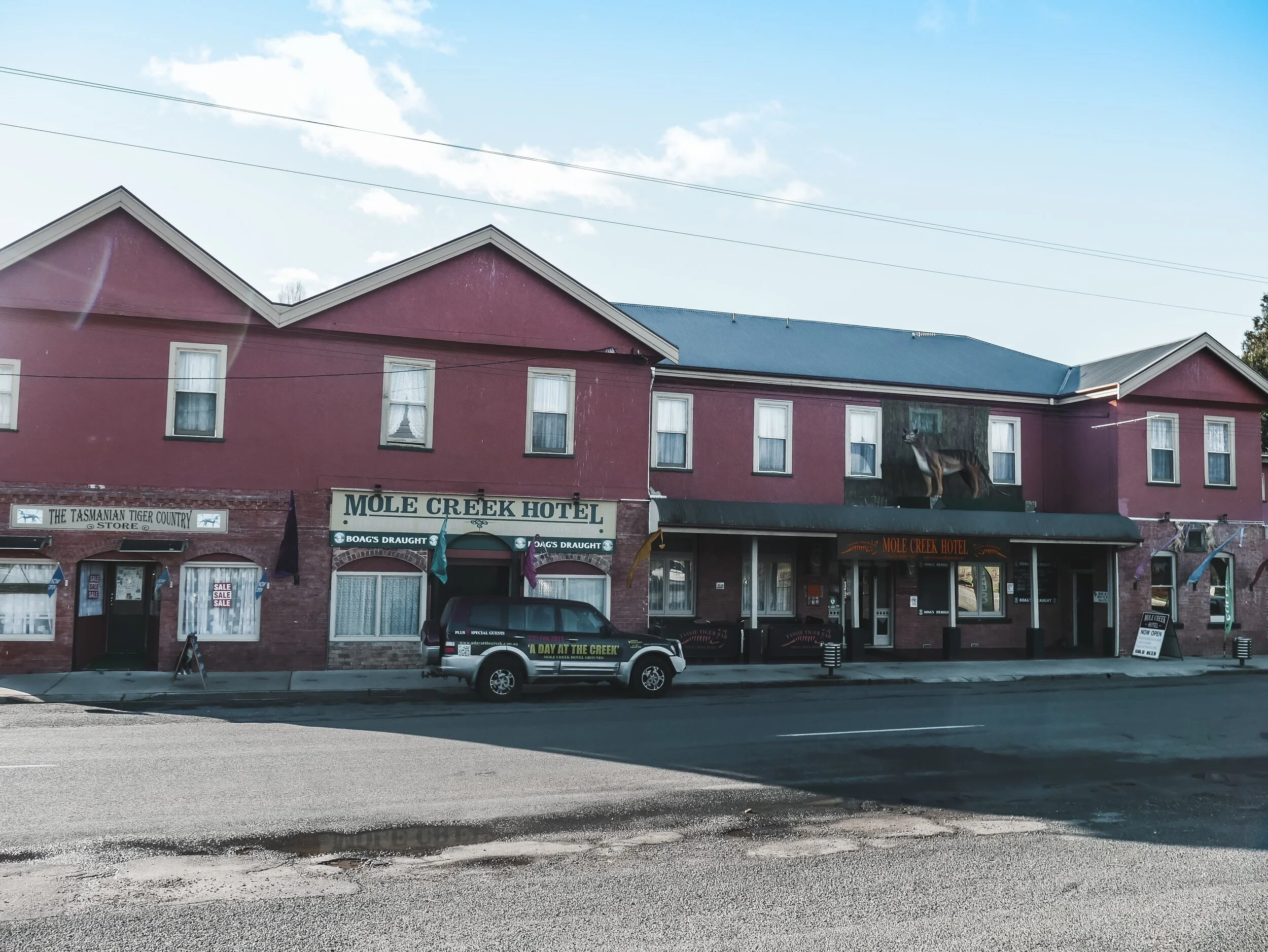 Roney (Full) (175 of 201)(1).jpg