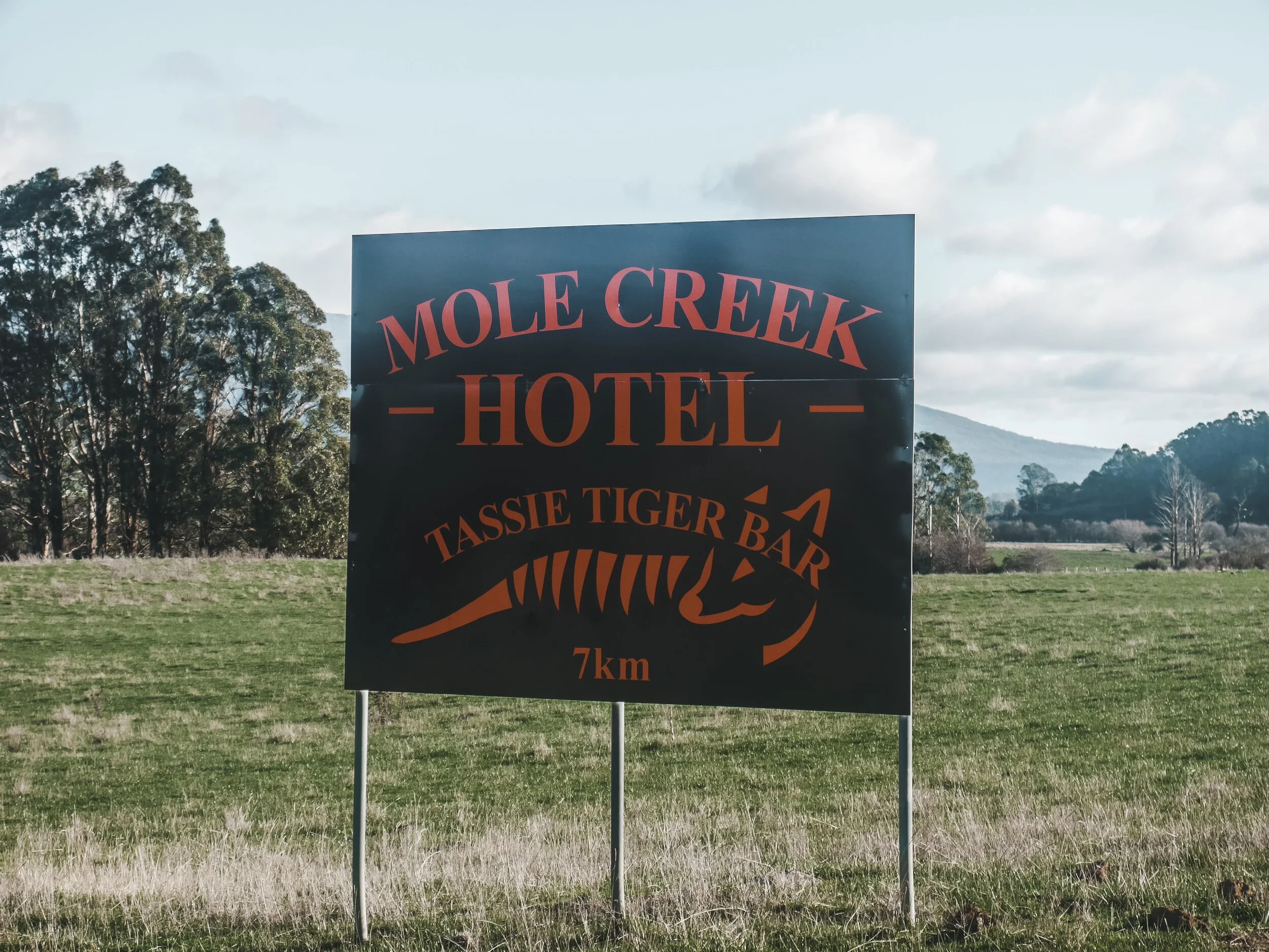 Roney (Full) (174 of 201)(1).jpg