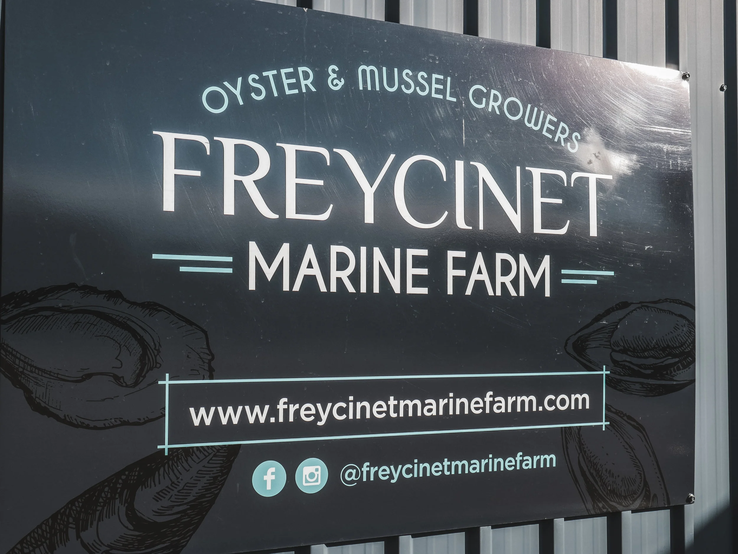 Roney (Full) (58 of 201).jpg