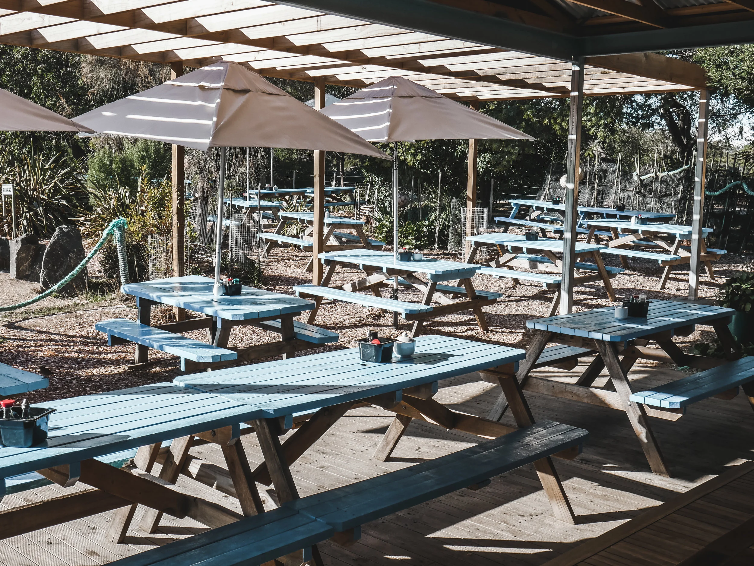 Roney (Full) (59 of 201).jpg