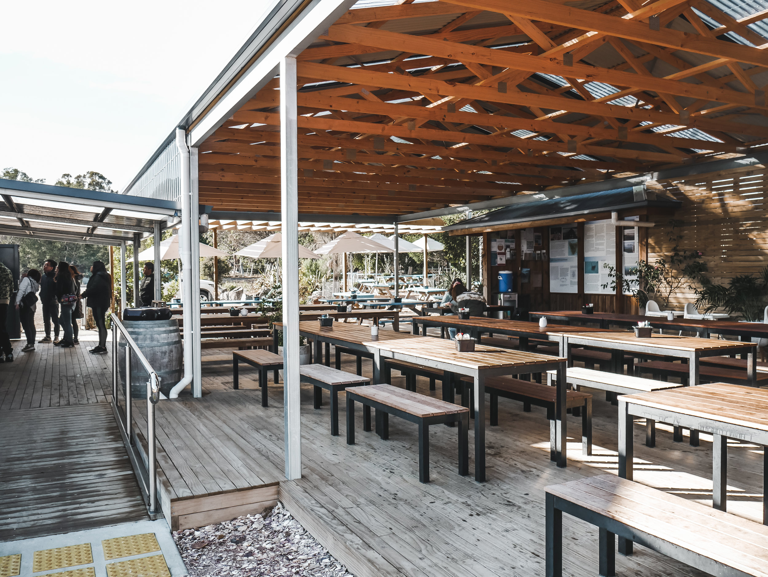 Roney (Full) (62 of 201).jpg