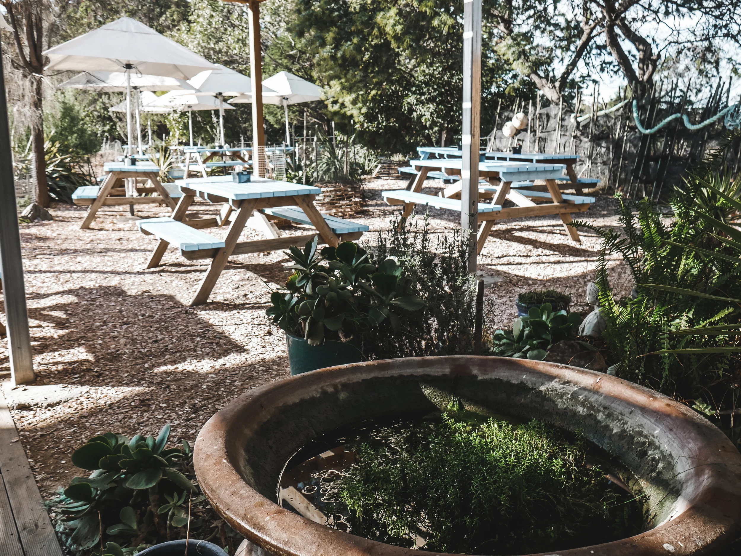 Roney (Full) (64 of 201).jpg