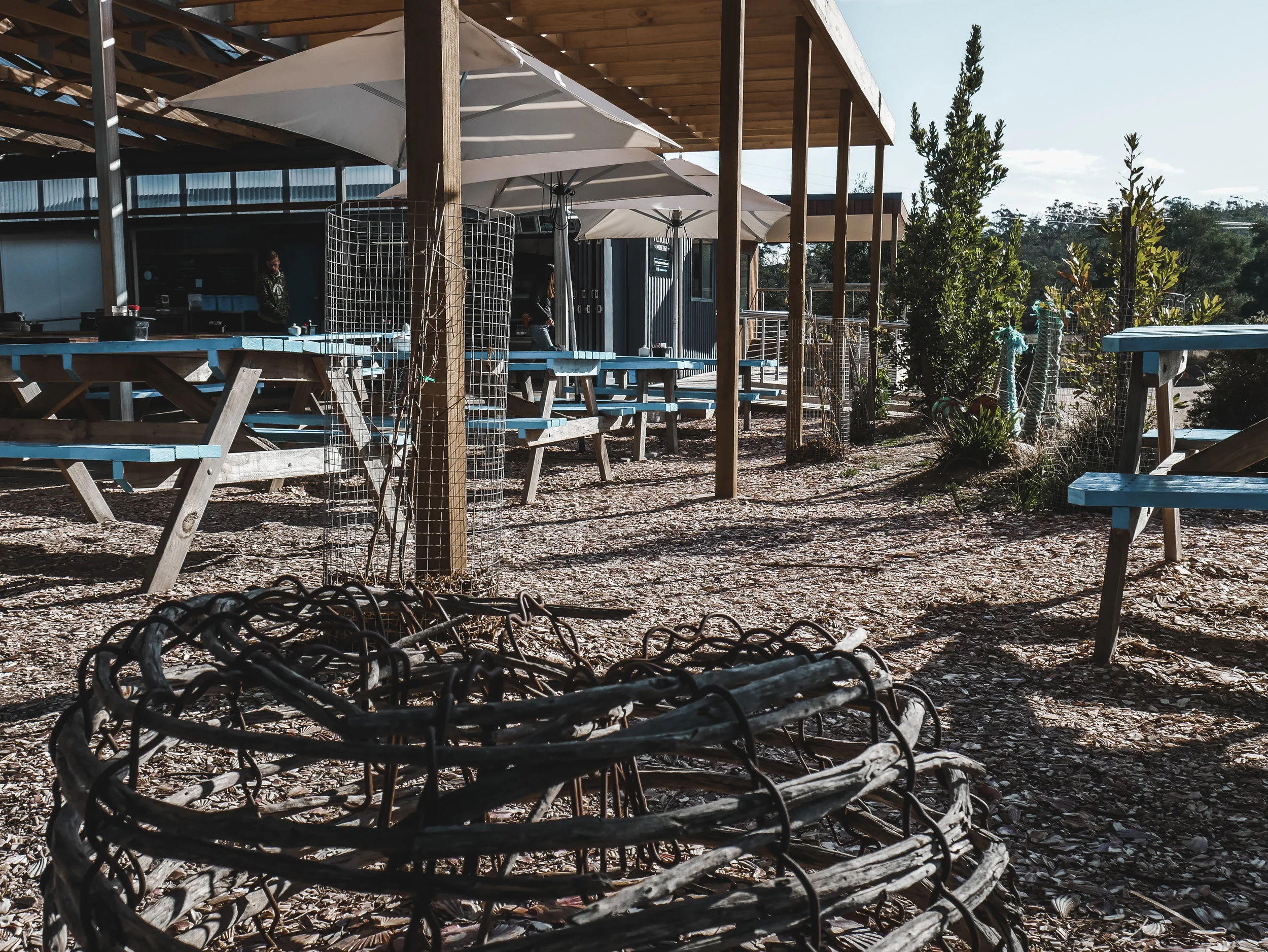 Roney (Full) (65 of 201).jpg