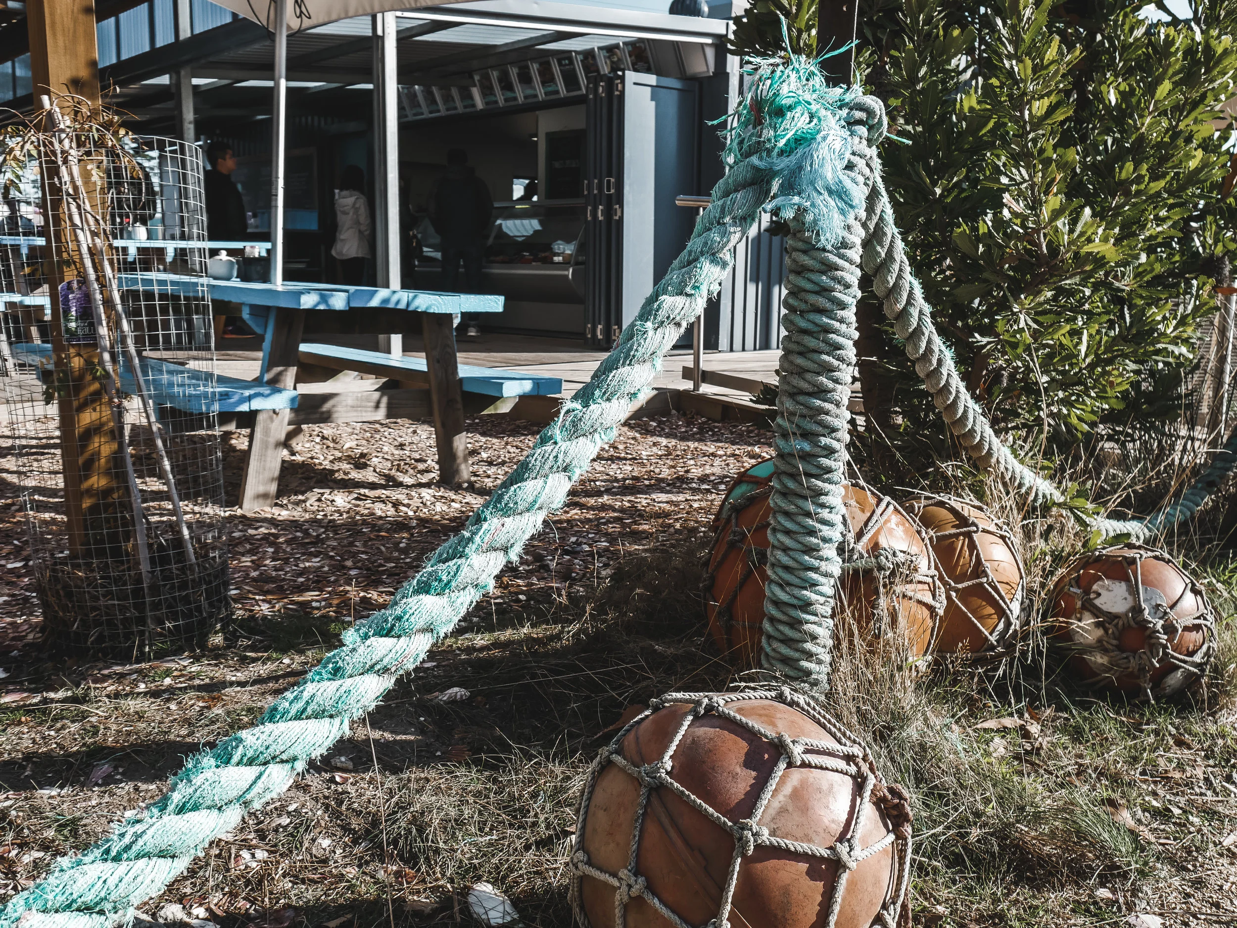 Roney (Full) (67 of 201).jpg