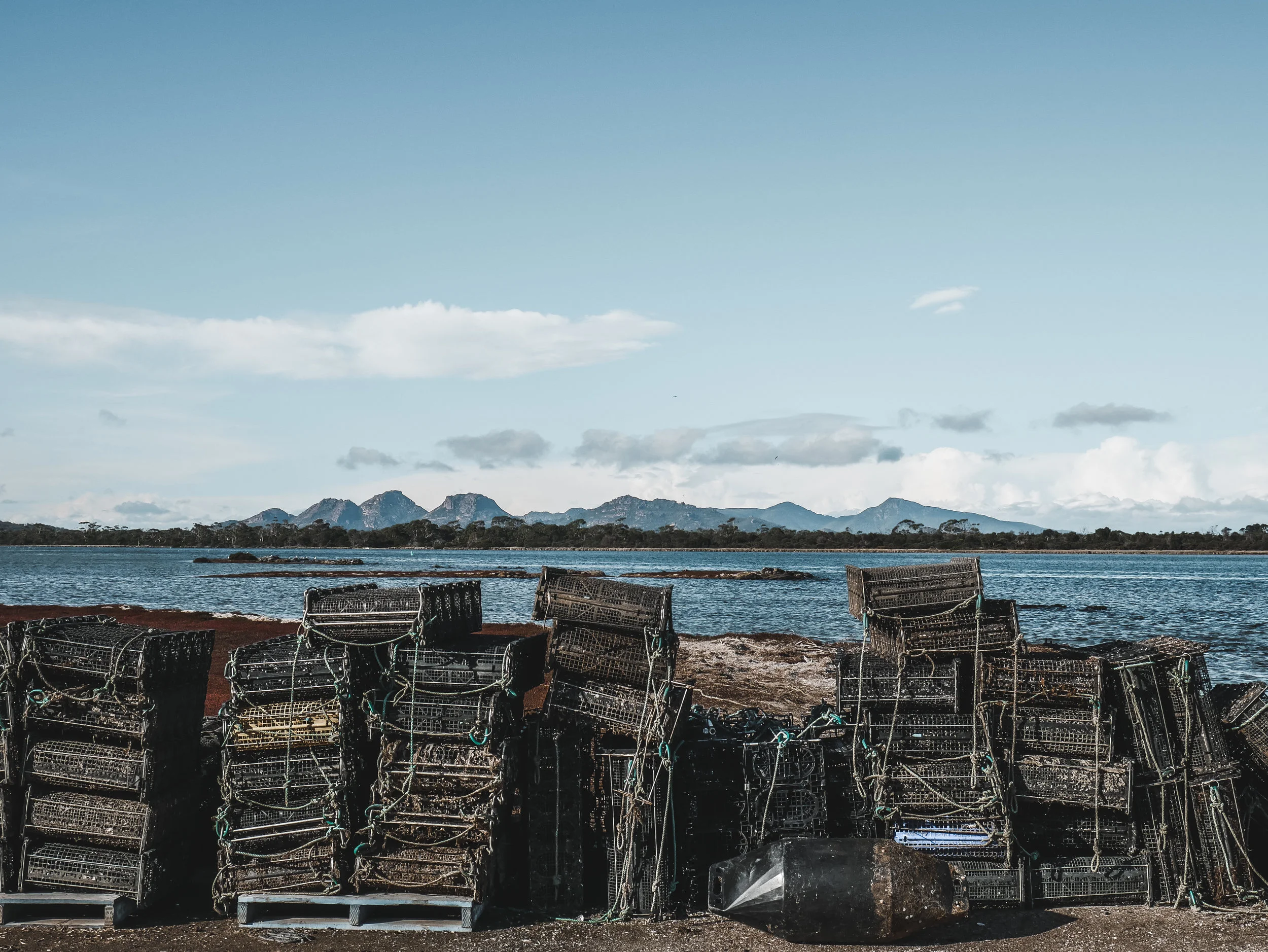 Roney (Full) (71 of 201).jpg