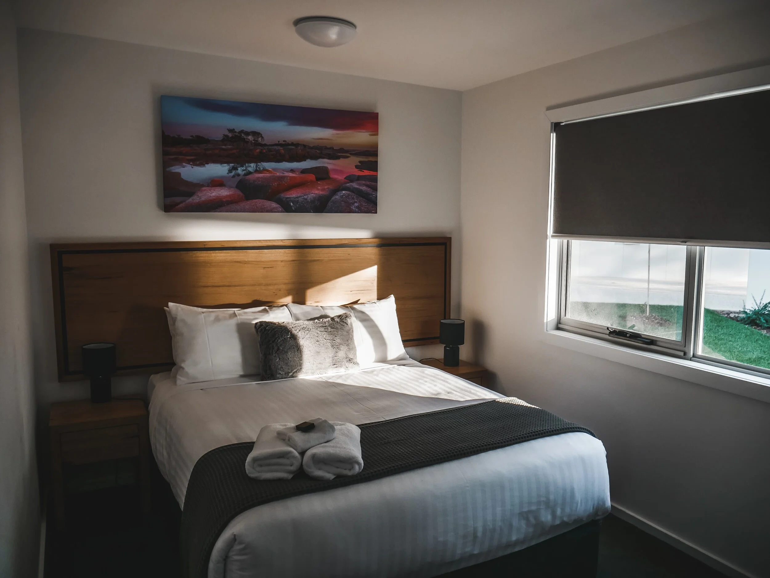 Roney (Full) (149 of 201)(1).jpg