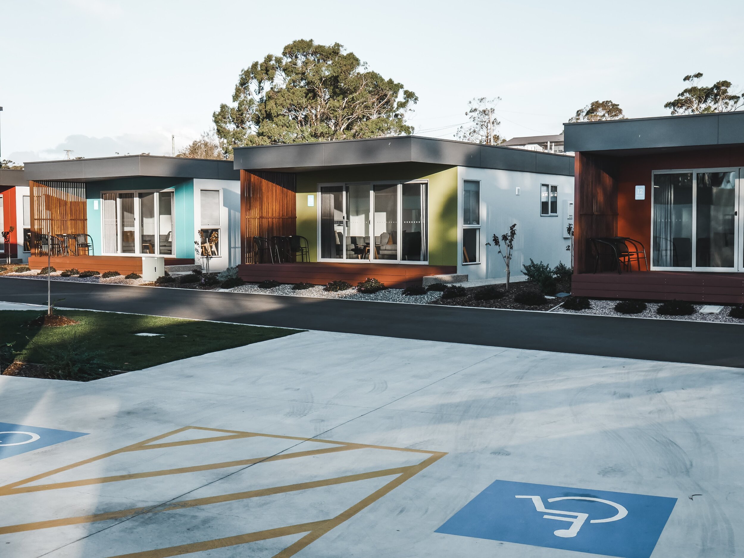 Roney (Full) (153 of 201)(1).jpg