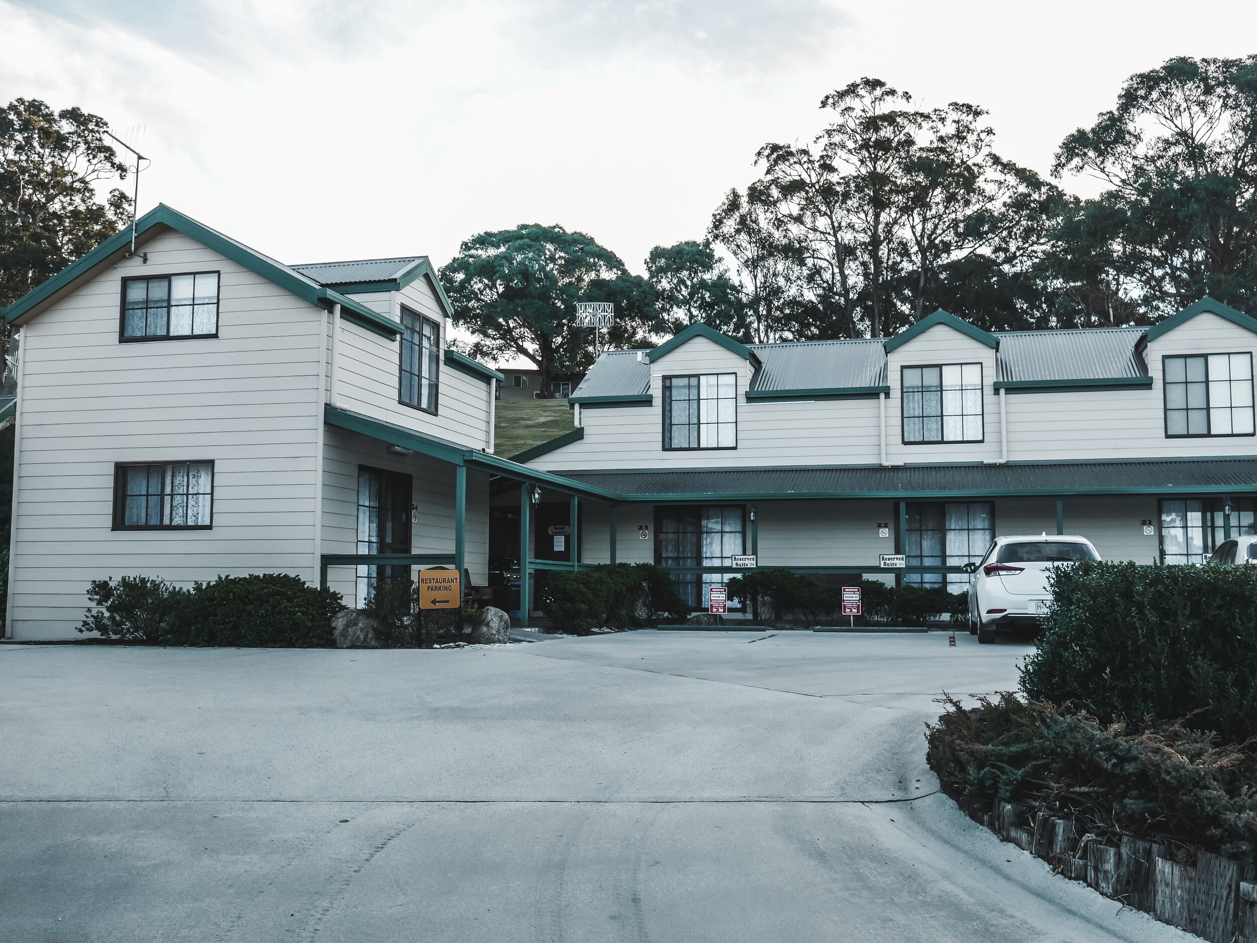 Roney (Full) (155 of 201)(1).jpg