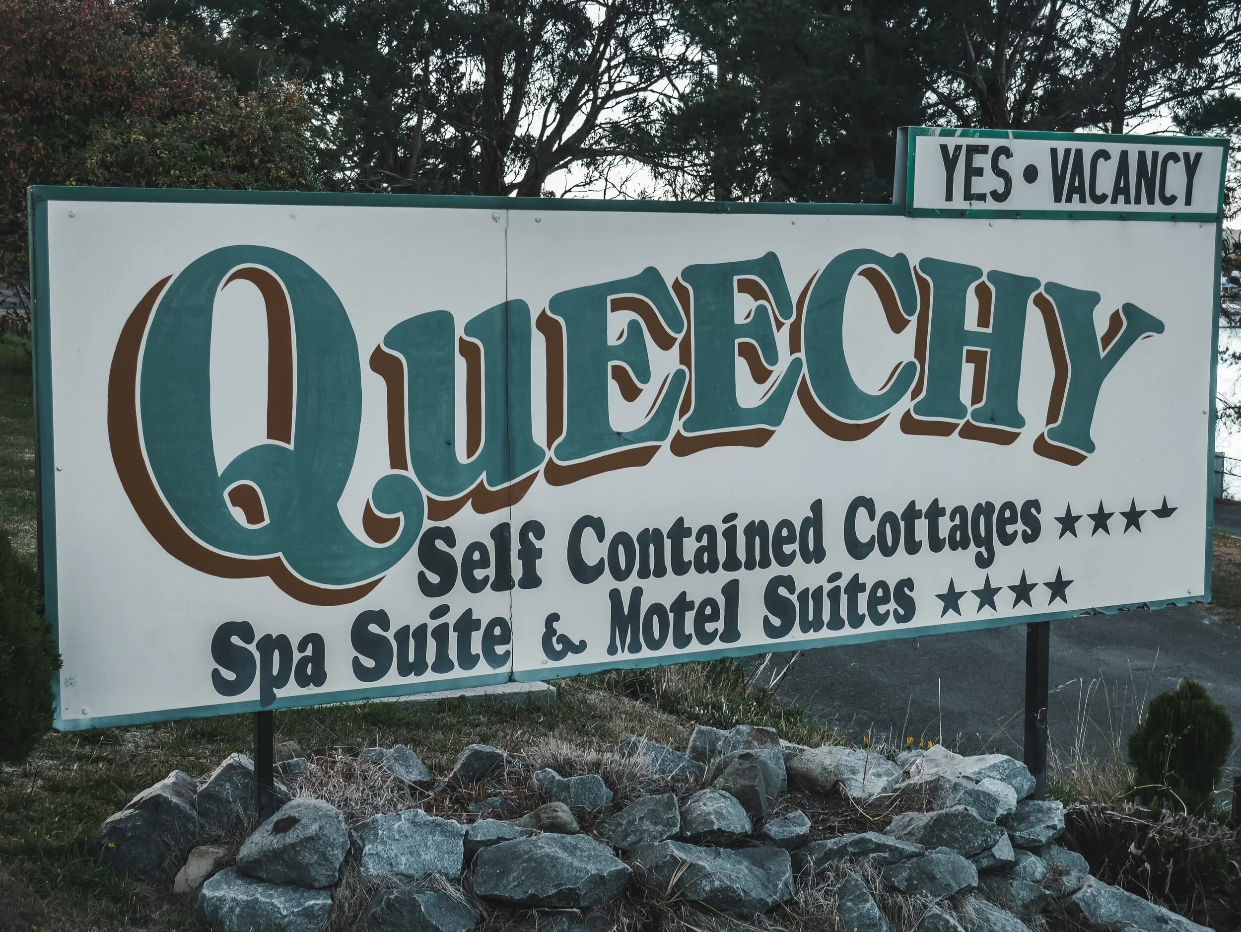 Roney (Full) (156 of 201)(1).jpg