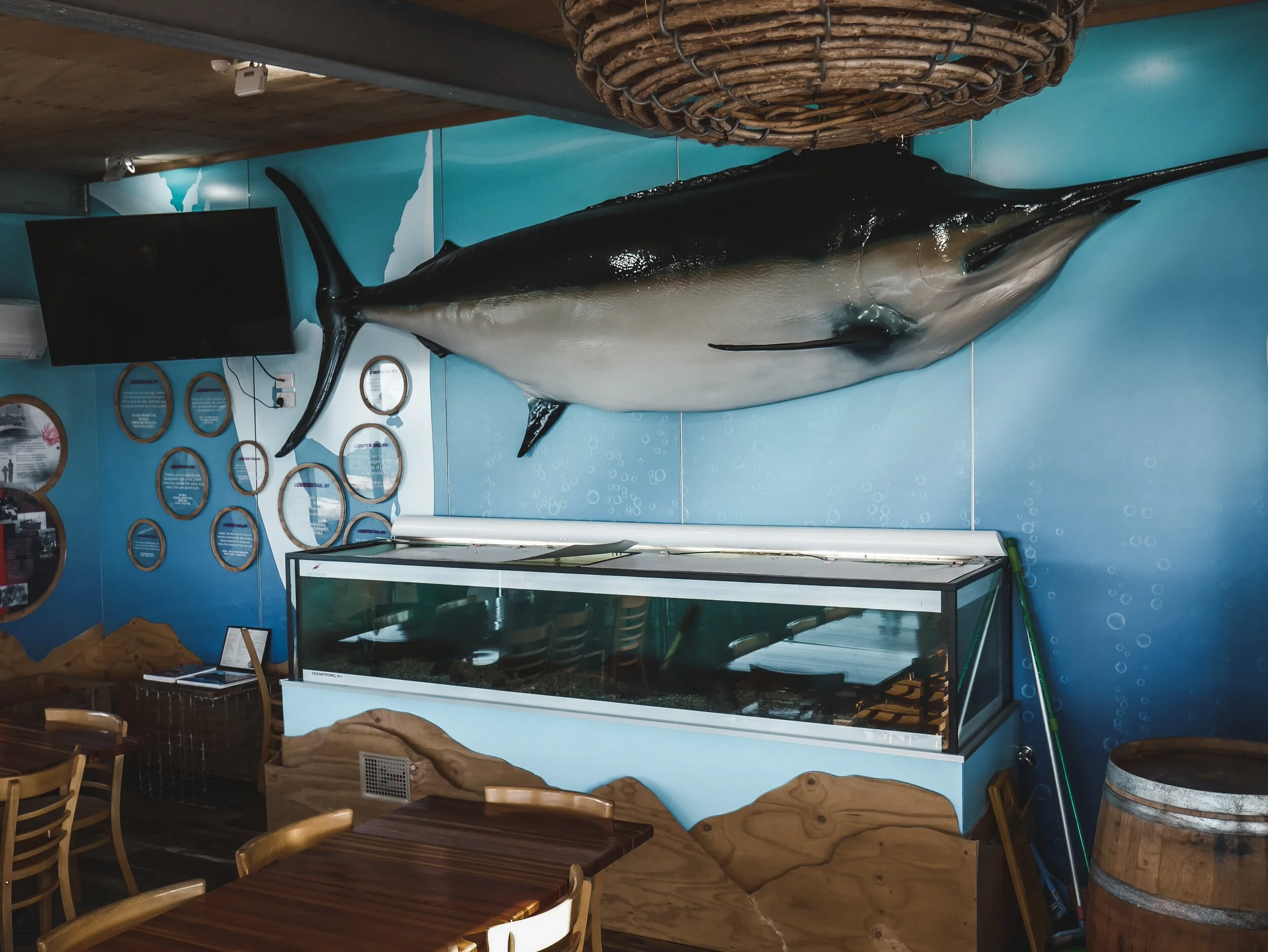 Roney (Full) (87 of 201)(1).jpg