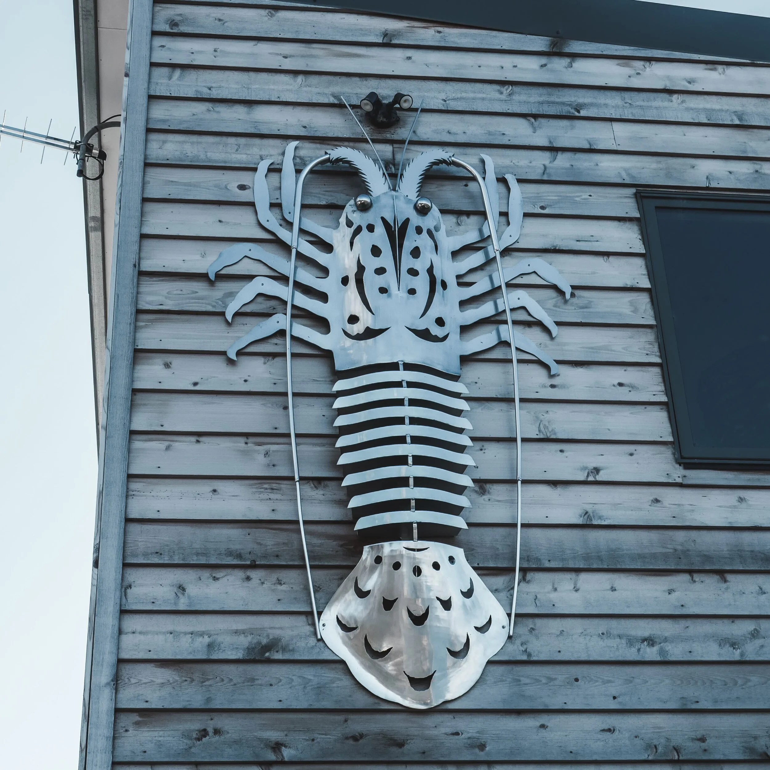 Roney (Full) (88 of 201)(1).jpg