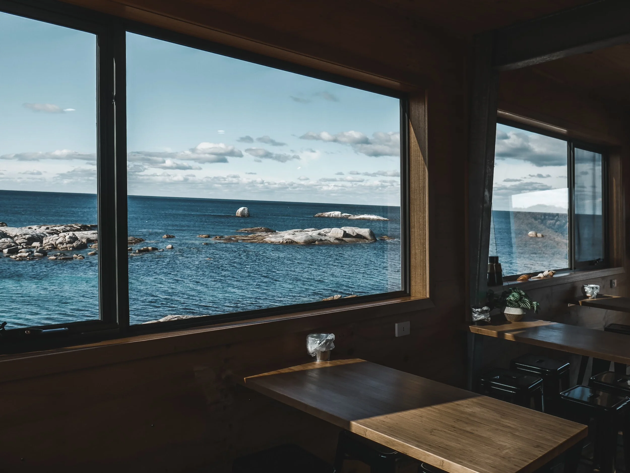 Roney (Full) (86 of 201)(1).jpg