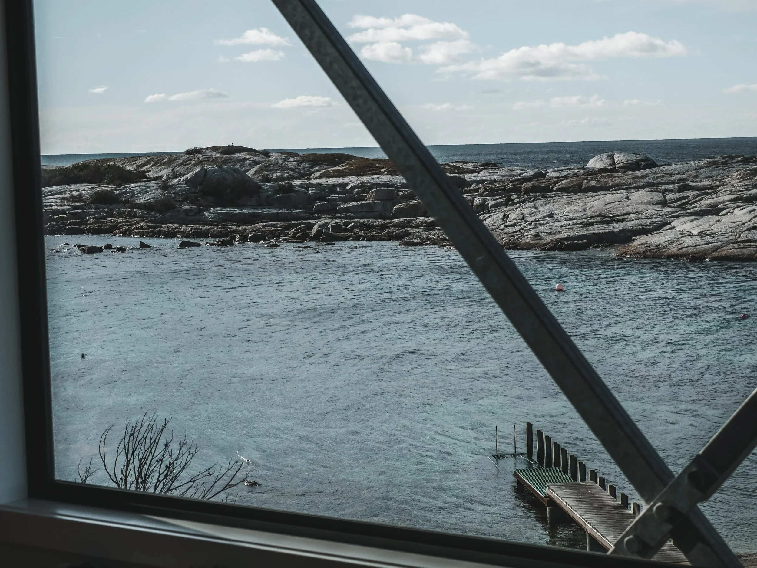 Roney (Full) (84 of 201)(1).jpg