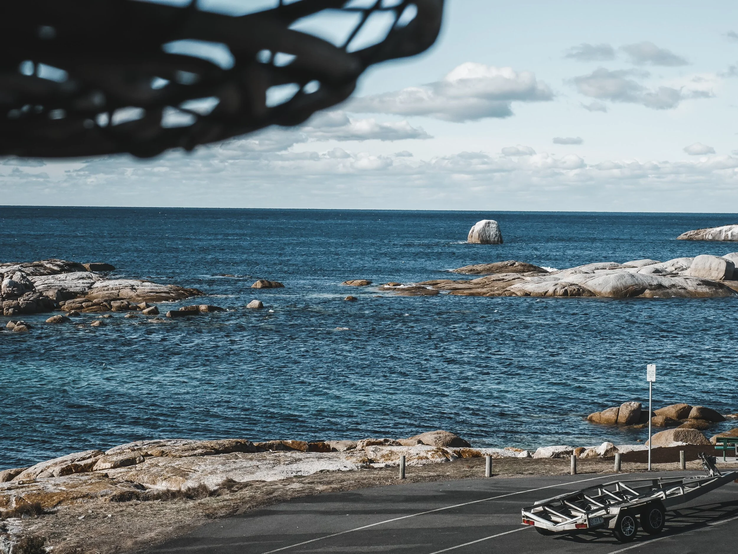 Roney (Full) (85 of 201)(1).jpg