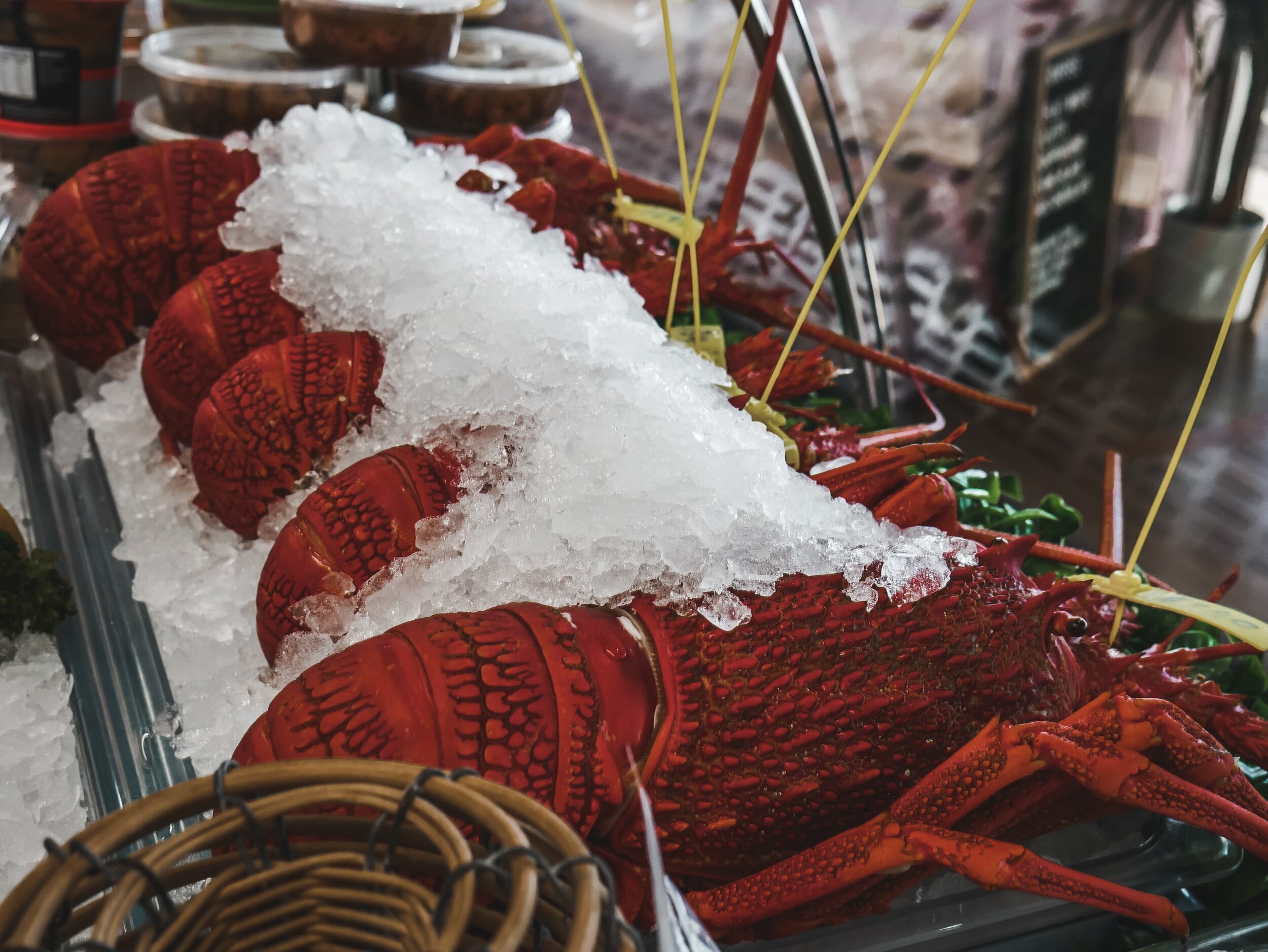 Roney (Full) (81 of 201)(1).jpg