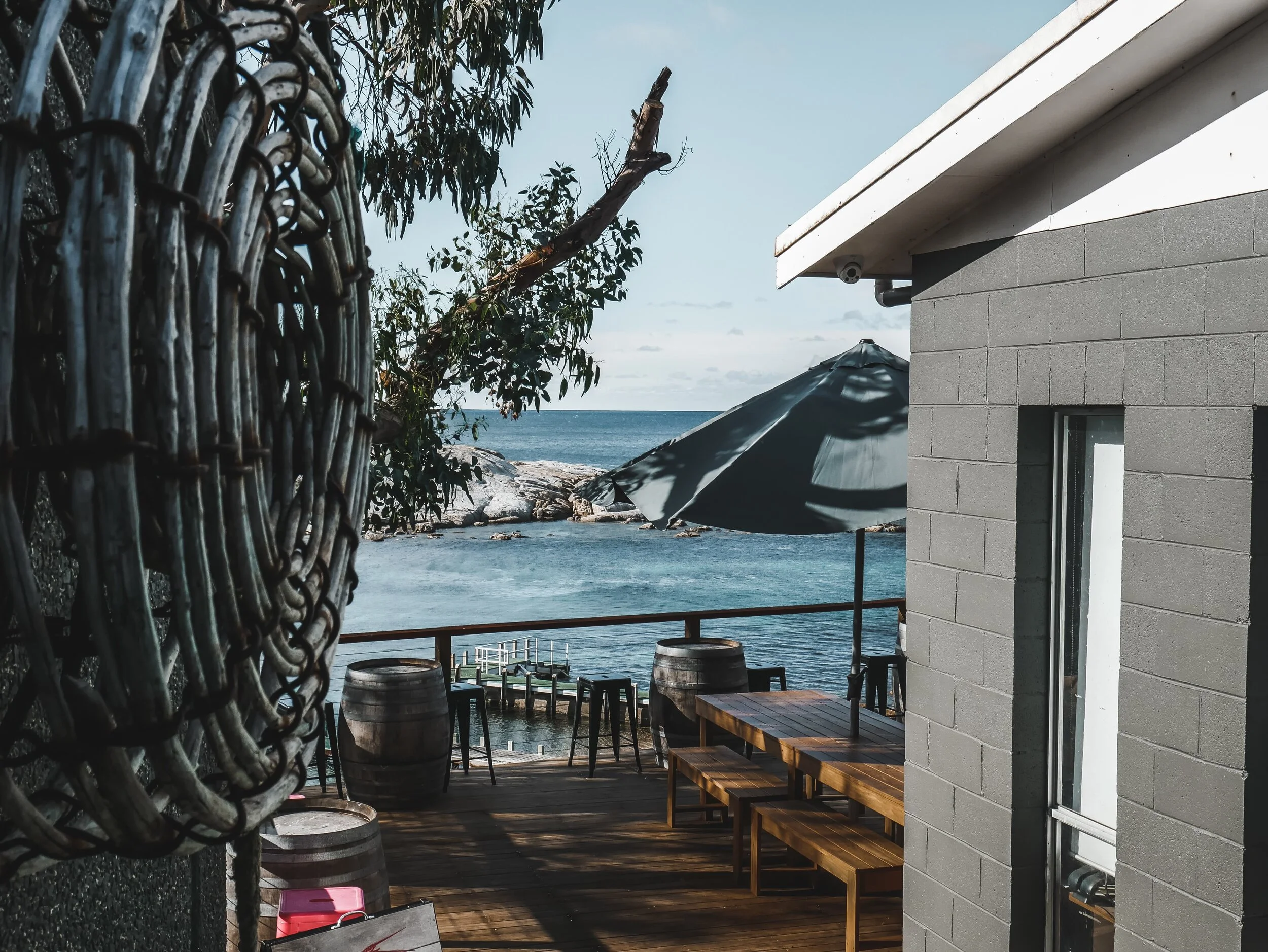 Roney (Full) (79 of 201)(1).jpg