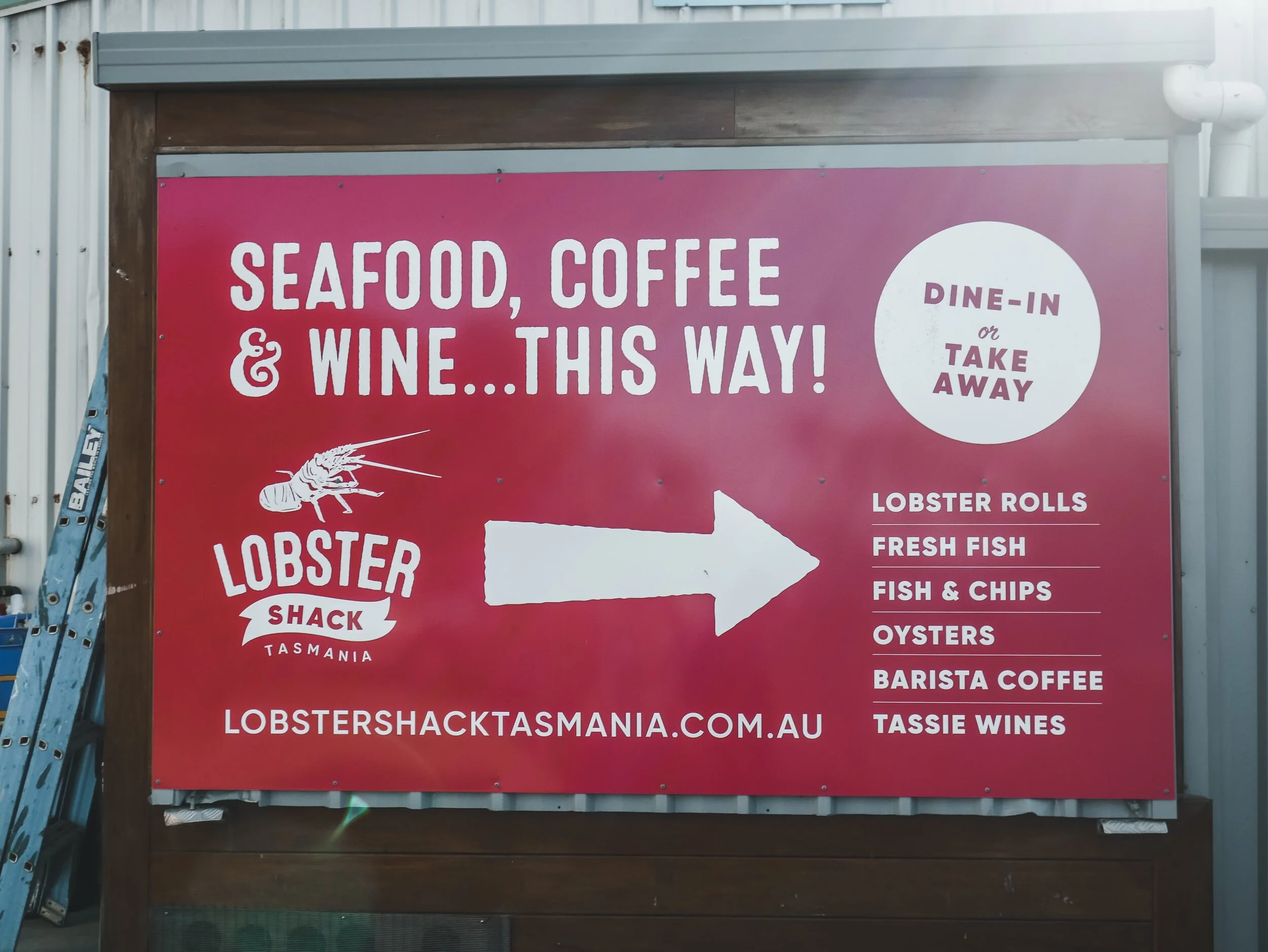 Roney (Full) (76 of 201)(1).jpg