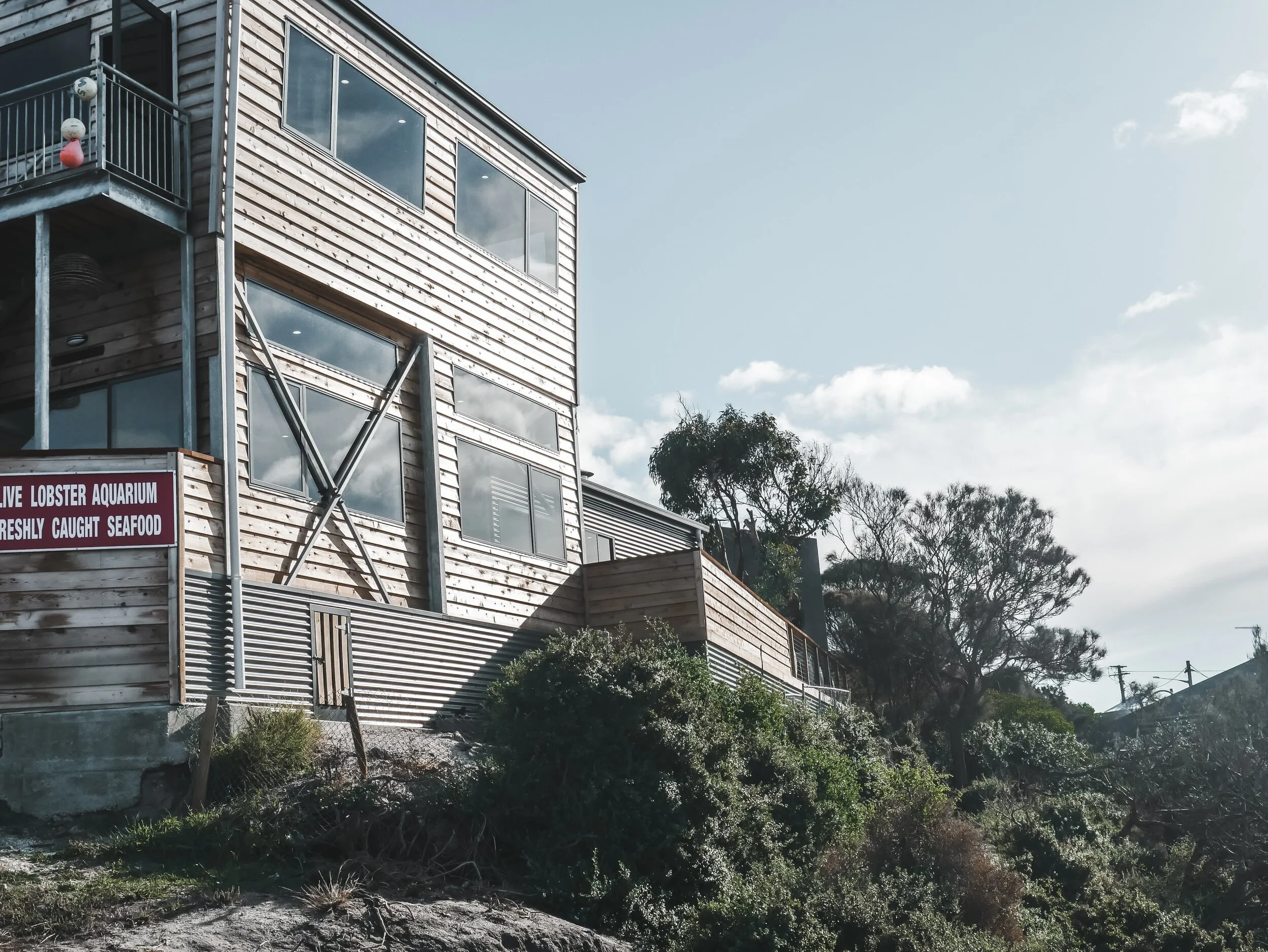 Roney (Full) (75 of 201)(1).jpg