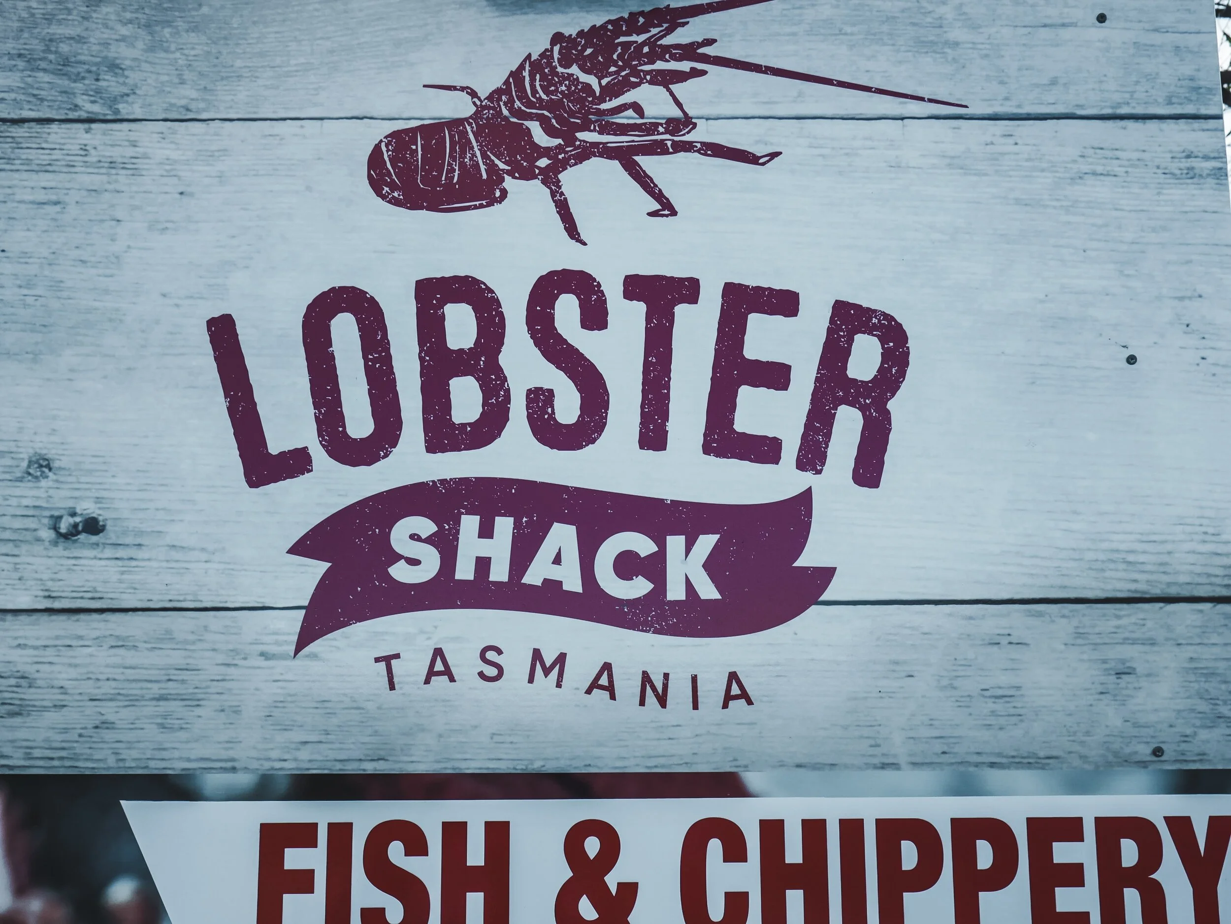 Roney (Full) (72 of 201)(1).jpg