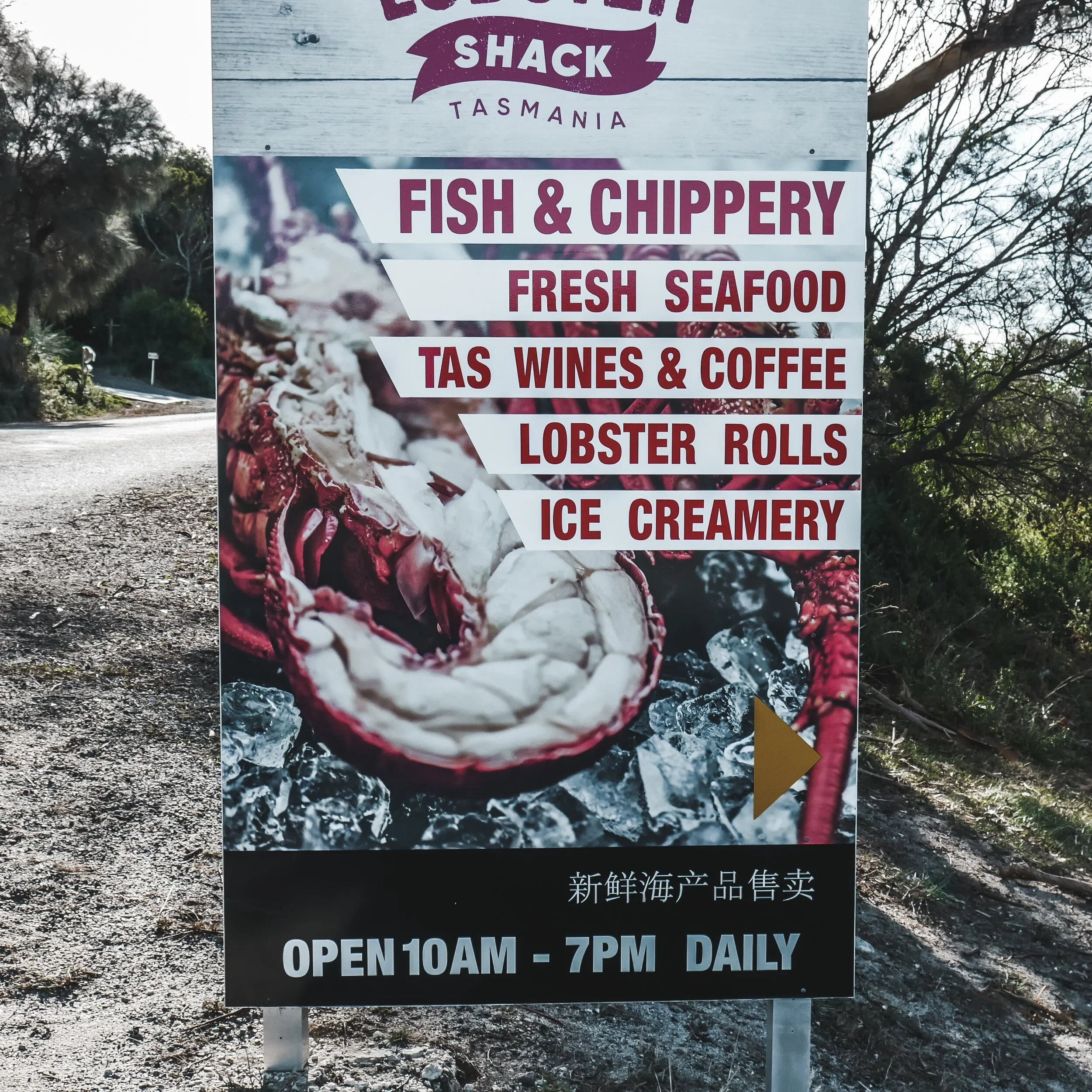 Roney (Full) (73 of 201)(1).jpg