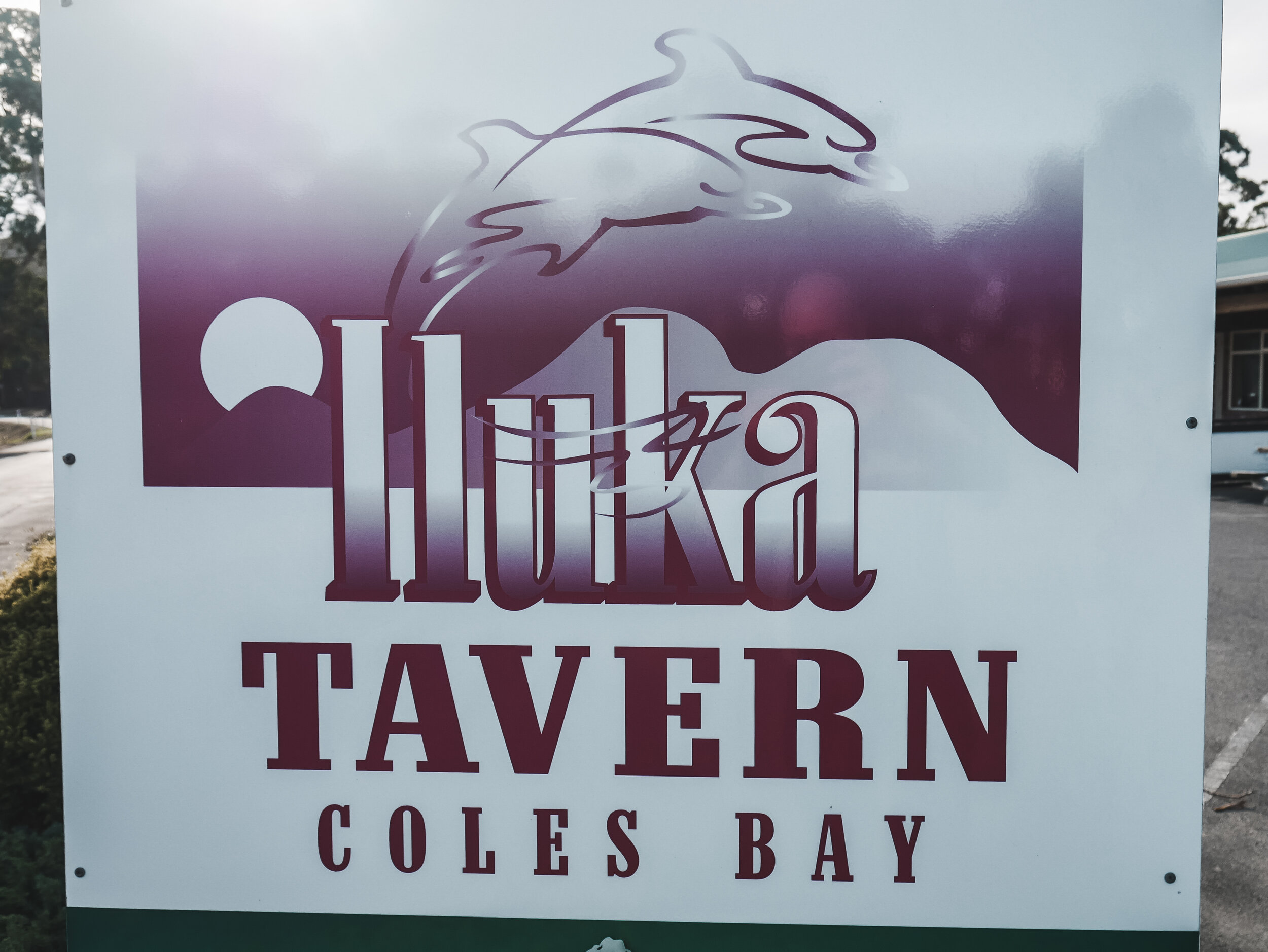 Roney (Full) (48 of 201).jpg