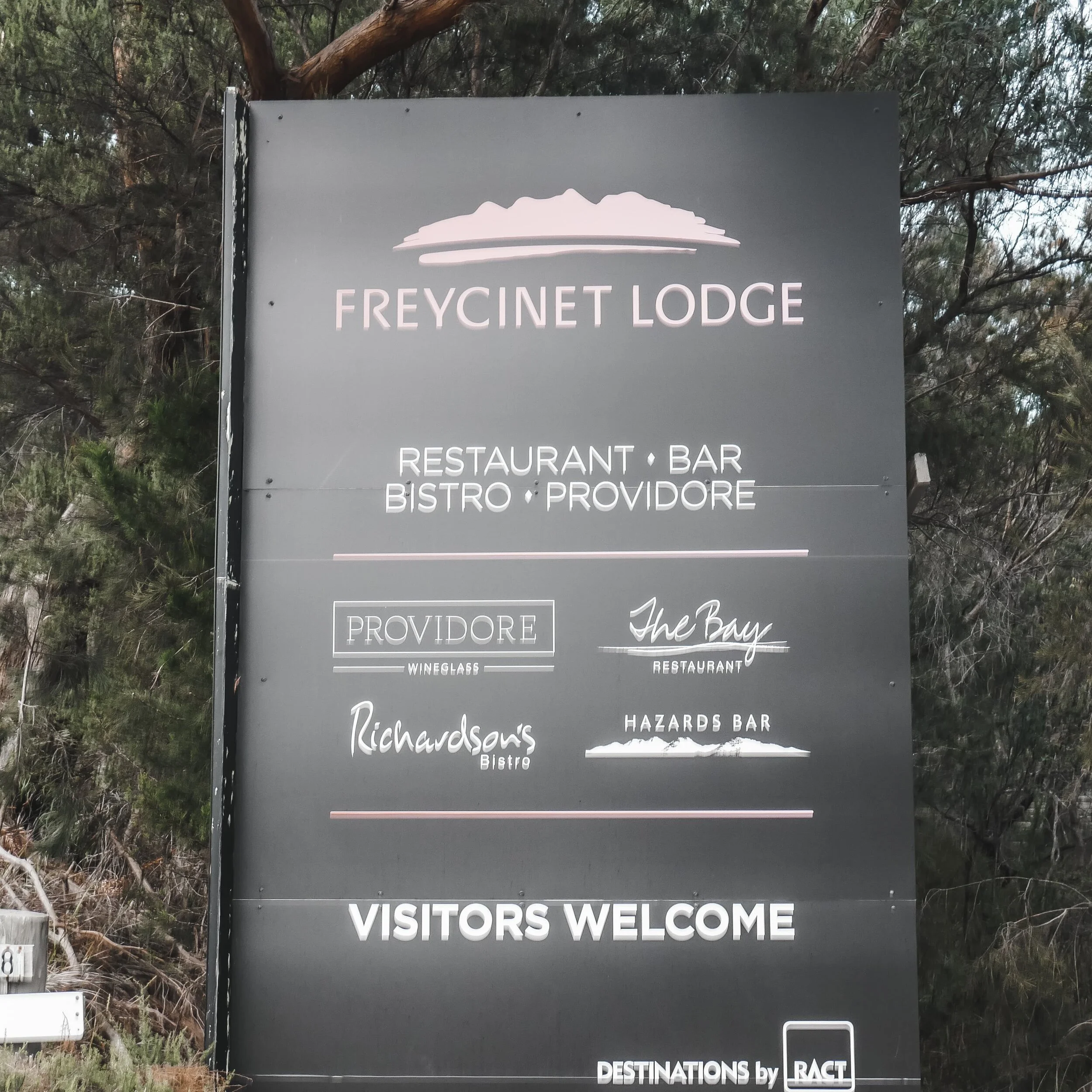 Roney (Full) (31 of 201)(1).jpg