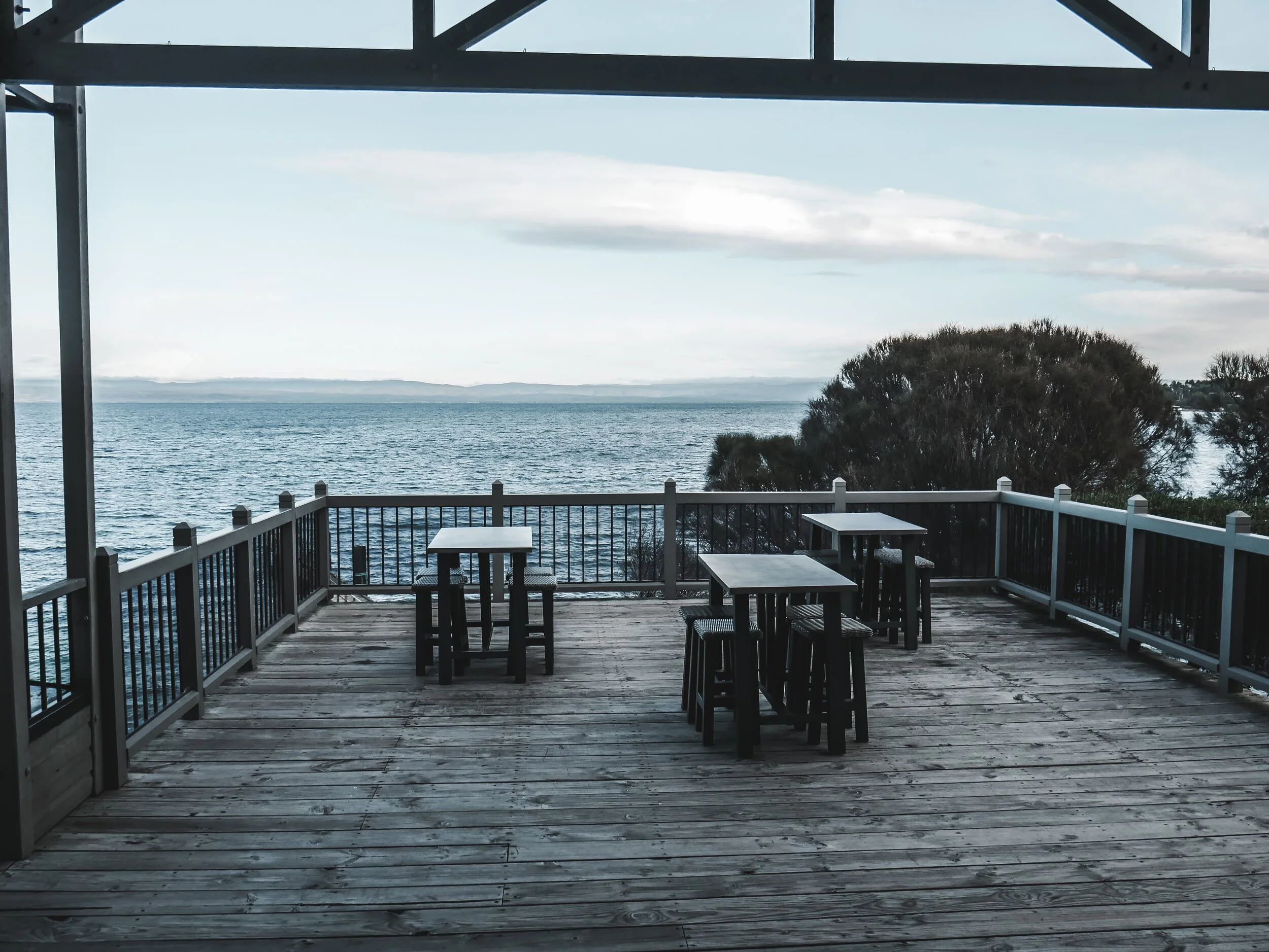 Roney (Full) (36 of 201)(1).jpg